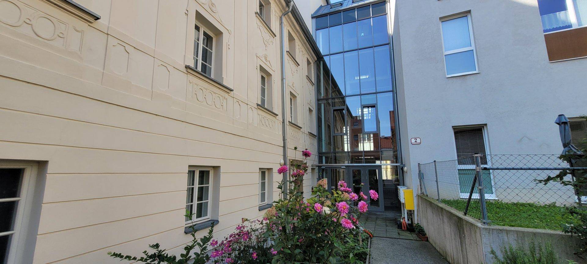 Weg zwischen Gebäuden mit einer modernen Glasfassade und blühenden Rosensträuchern.