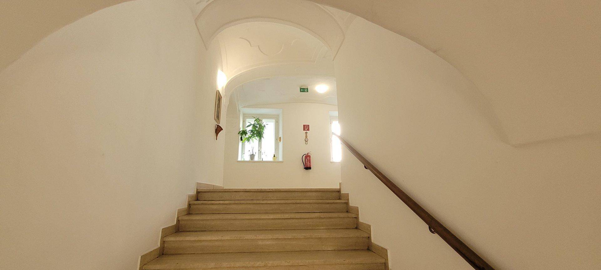 Historisches Treppenhaus mit gewölbter Decke, Stuckelementen und breiten Stufen.