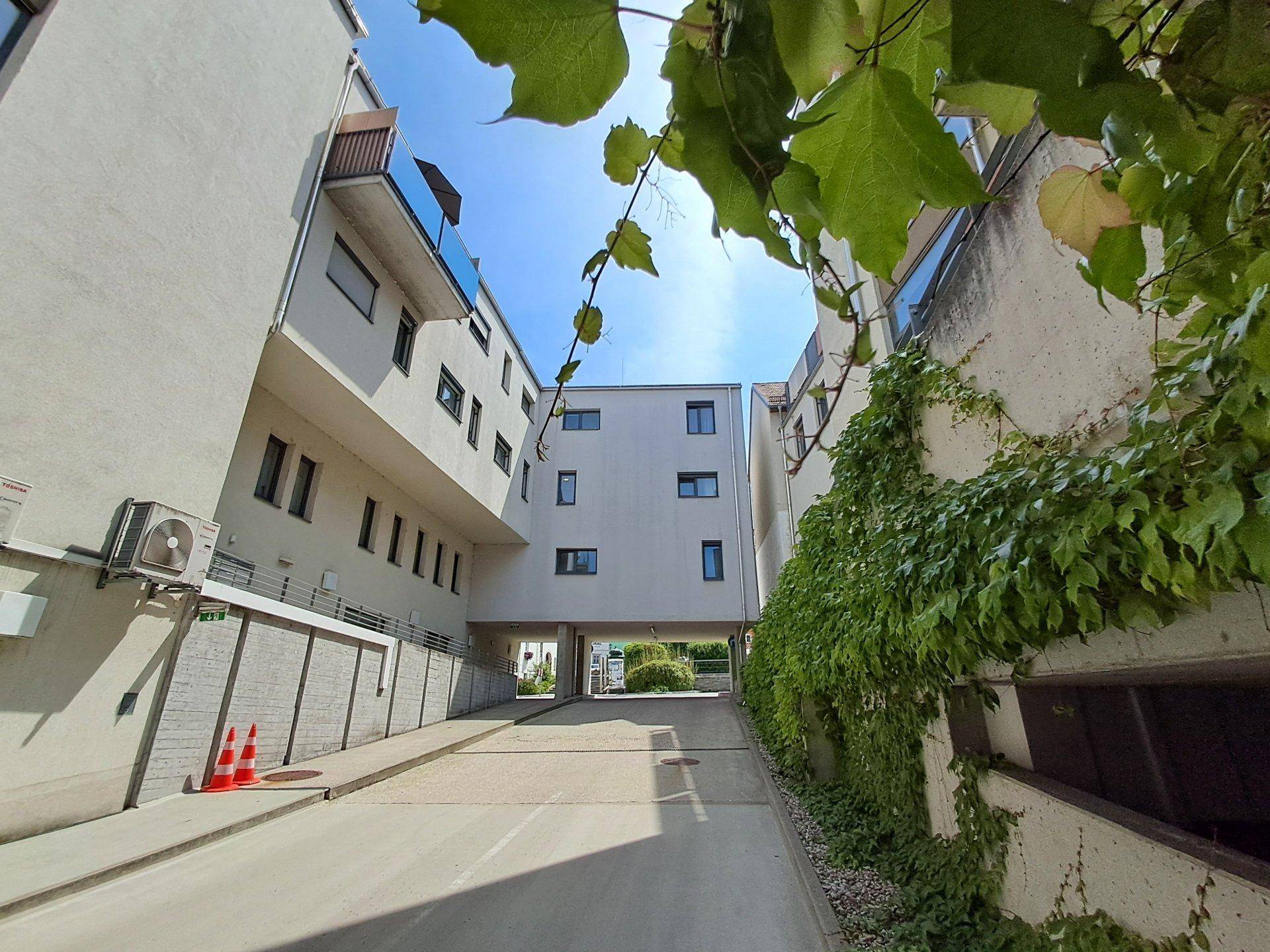 Zufahrtsweg zwischen den Gebäudeteilen der Wohnanlage mit viel Grün und Rankpflanzen.