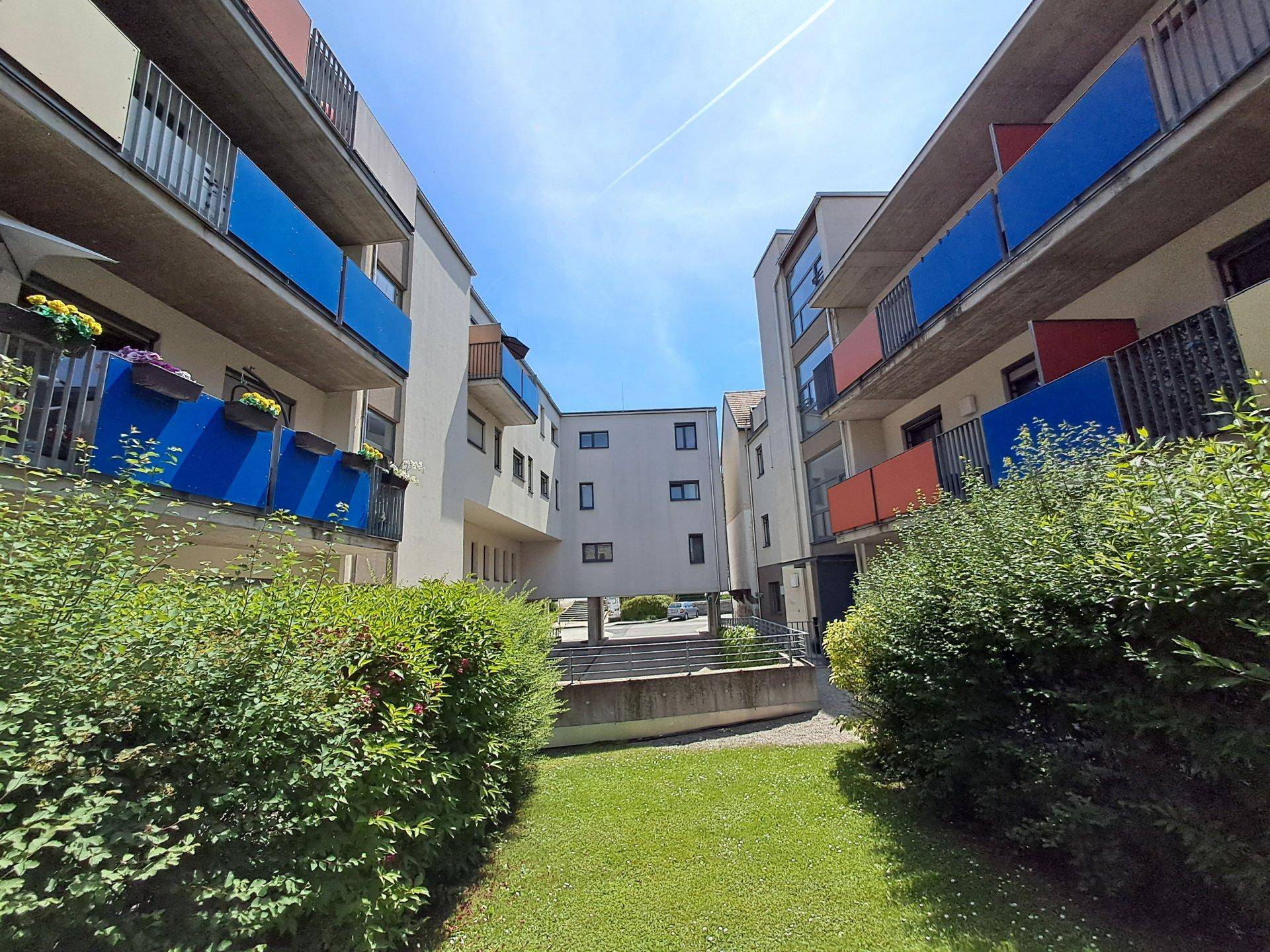 Gepflegte Grünfläche mit Rasen und Büschen zwischen den Wohngebäuden der Anlage.