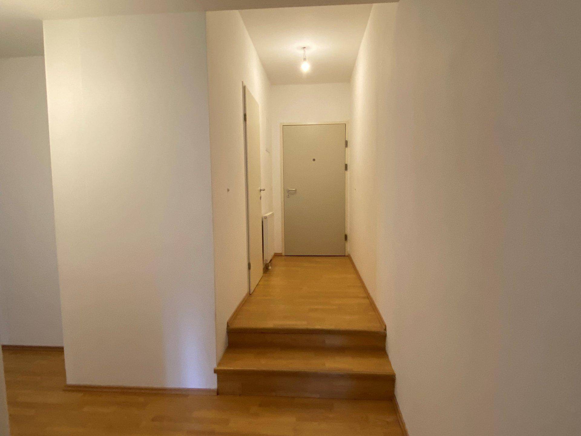 Heller Flur mit Holzfußboden und einer kurzen Treppe, die zu einem Eingangsbereich führt.