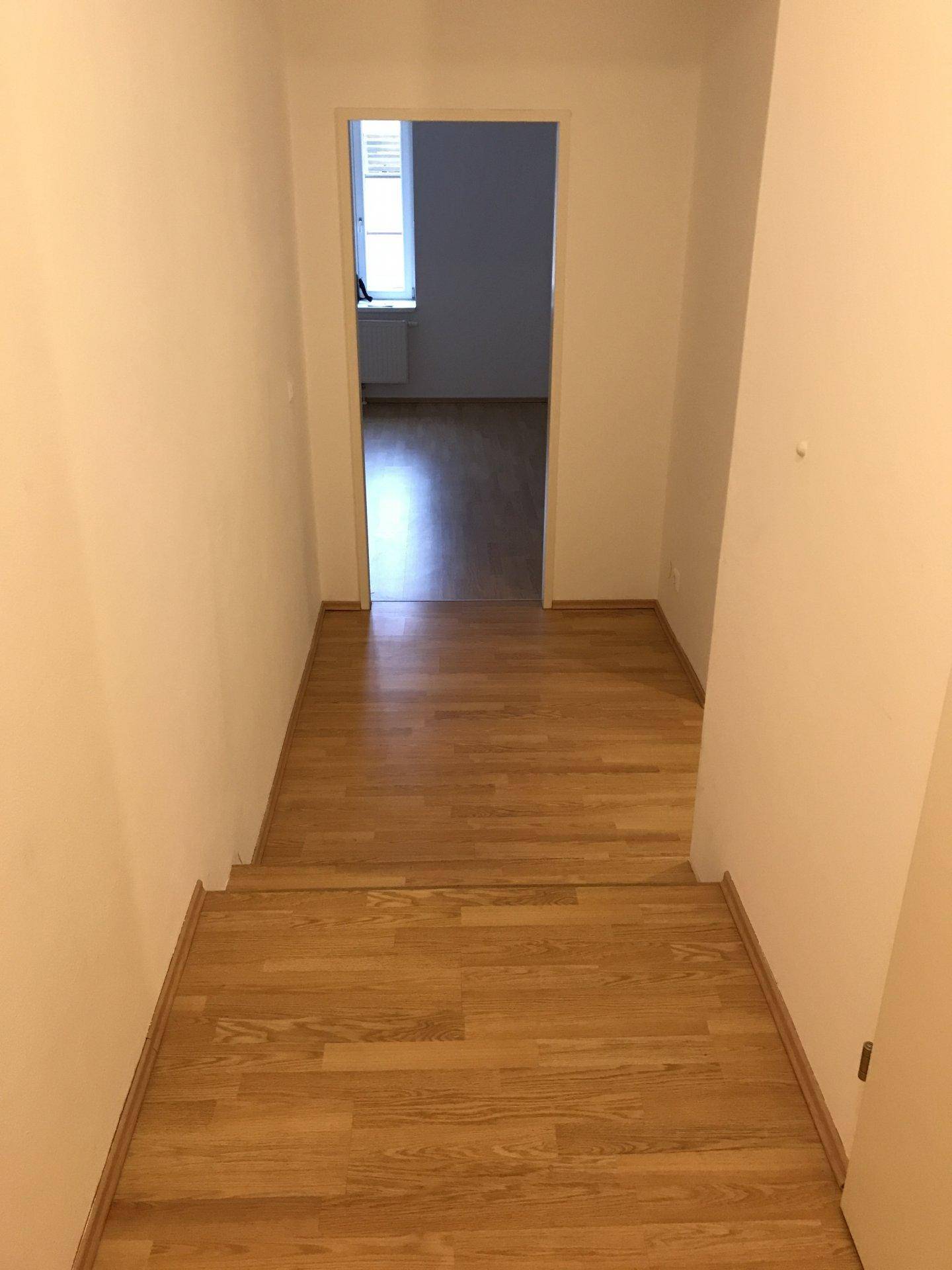 Heller Flur mit Holzfußboden und einer kurzen Treppe, die zu einem weiteren Bereich führt.