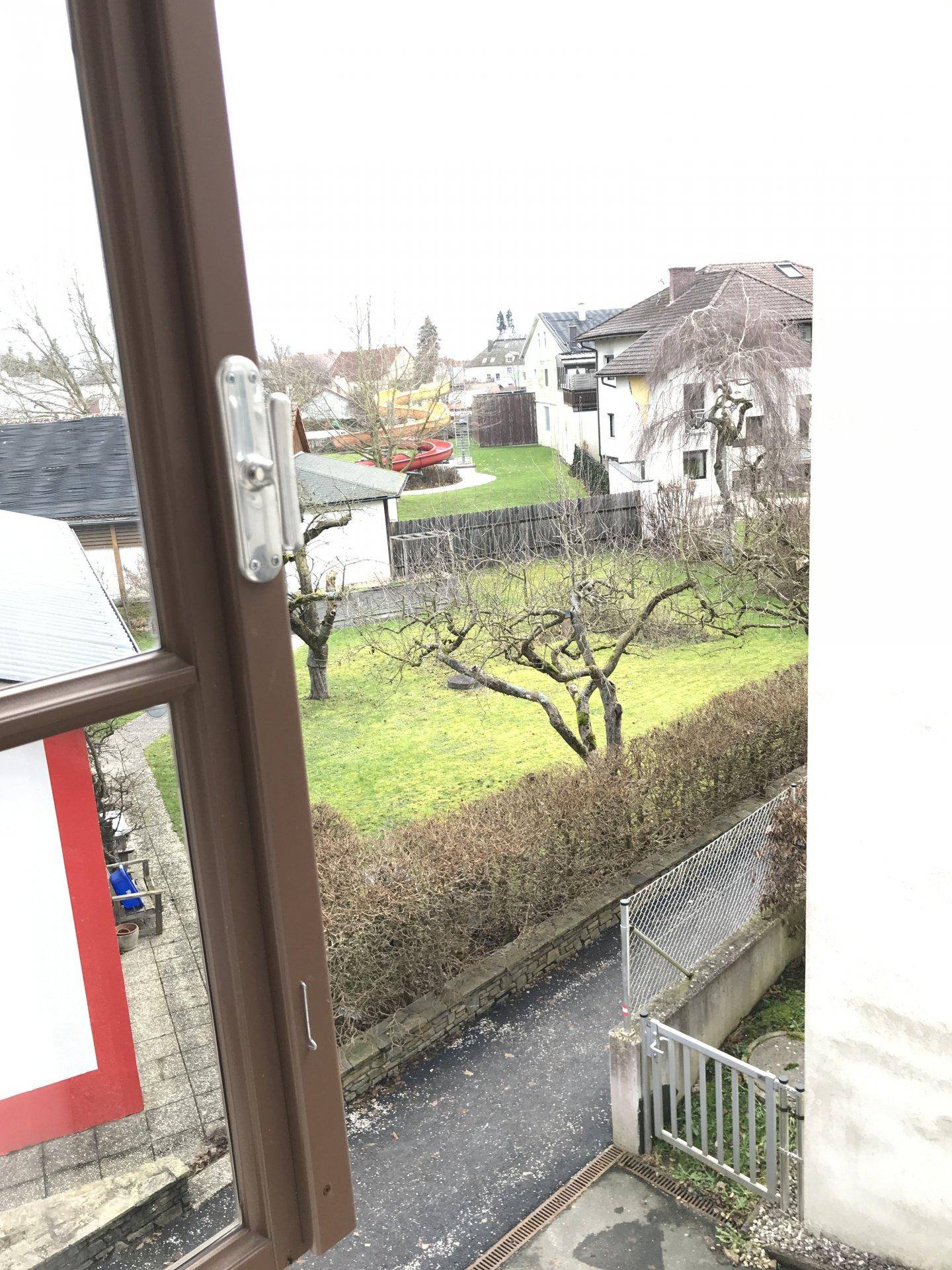 Blick aus dem Fenster auf einen grünen Hinterhof mit Bäumen und einem Zaun.