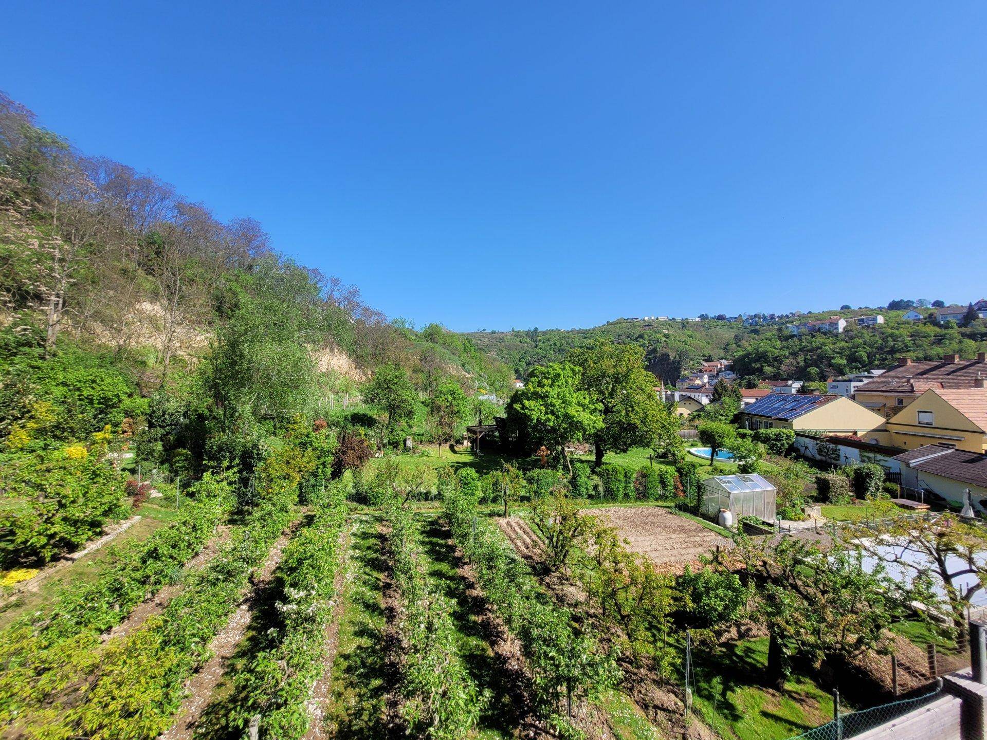 Panoramablick über ein Tal mit kultivierten Feldern, Obstbäumen und Häusern in grüner Umgebung.