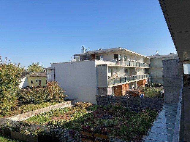 Blick von einem Balkon auf einen gepflegten Gemeinschaftsgarten mit Hochbeeten und weiteren Gebäuden.