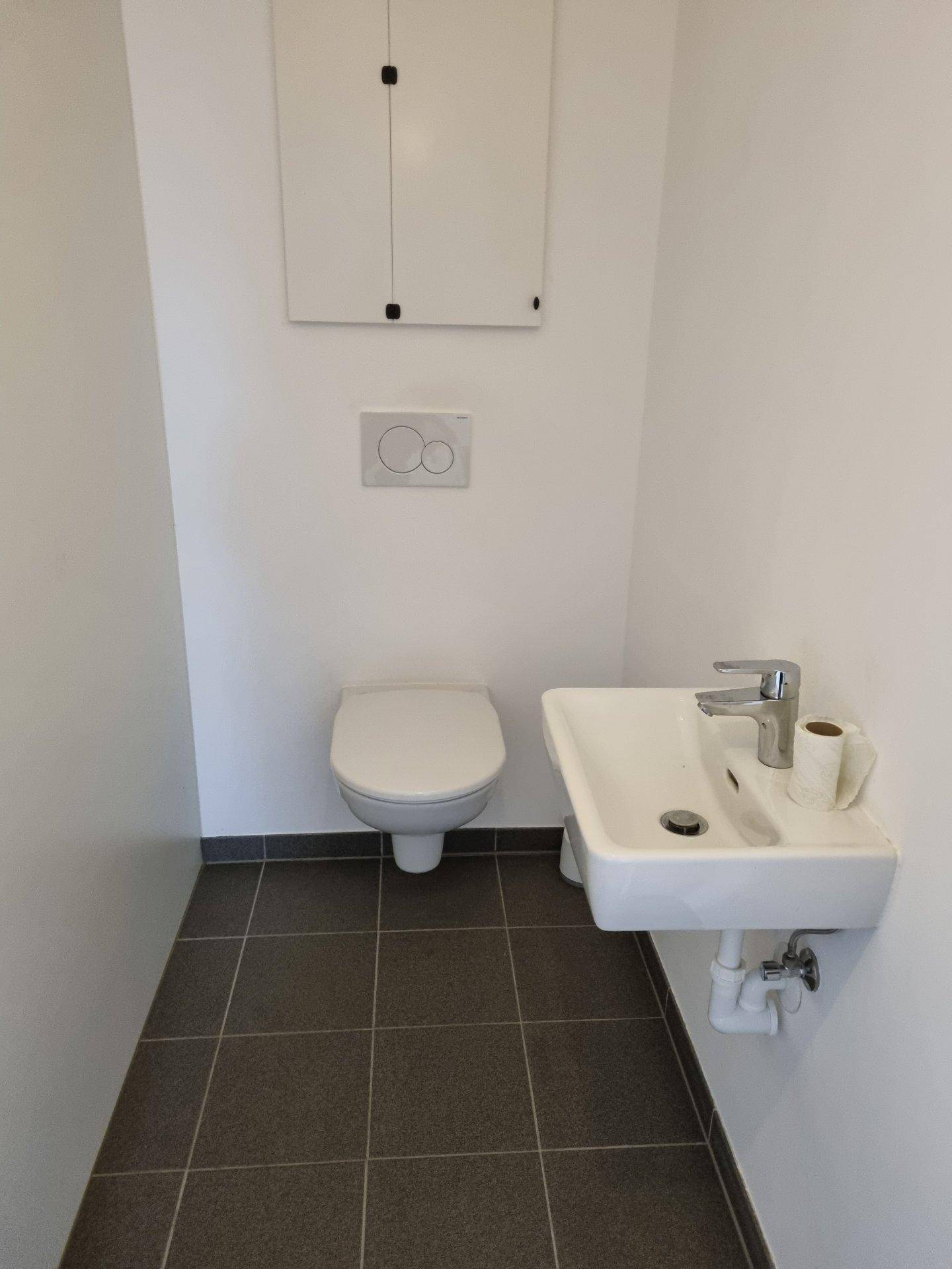 Modernes Gäste-WC mit dunklen Fliesen, wandhängendem WC und kleinem Waschbecken.