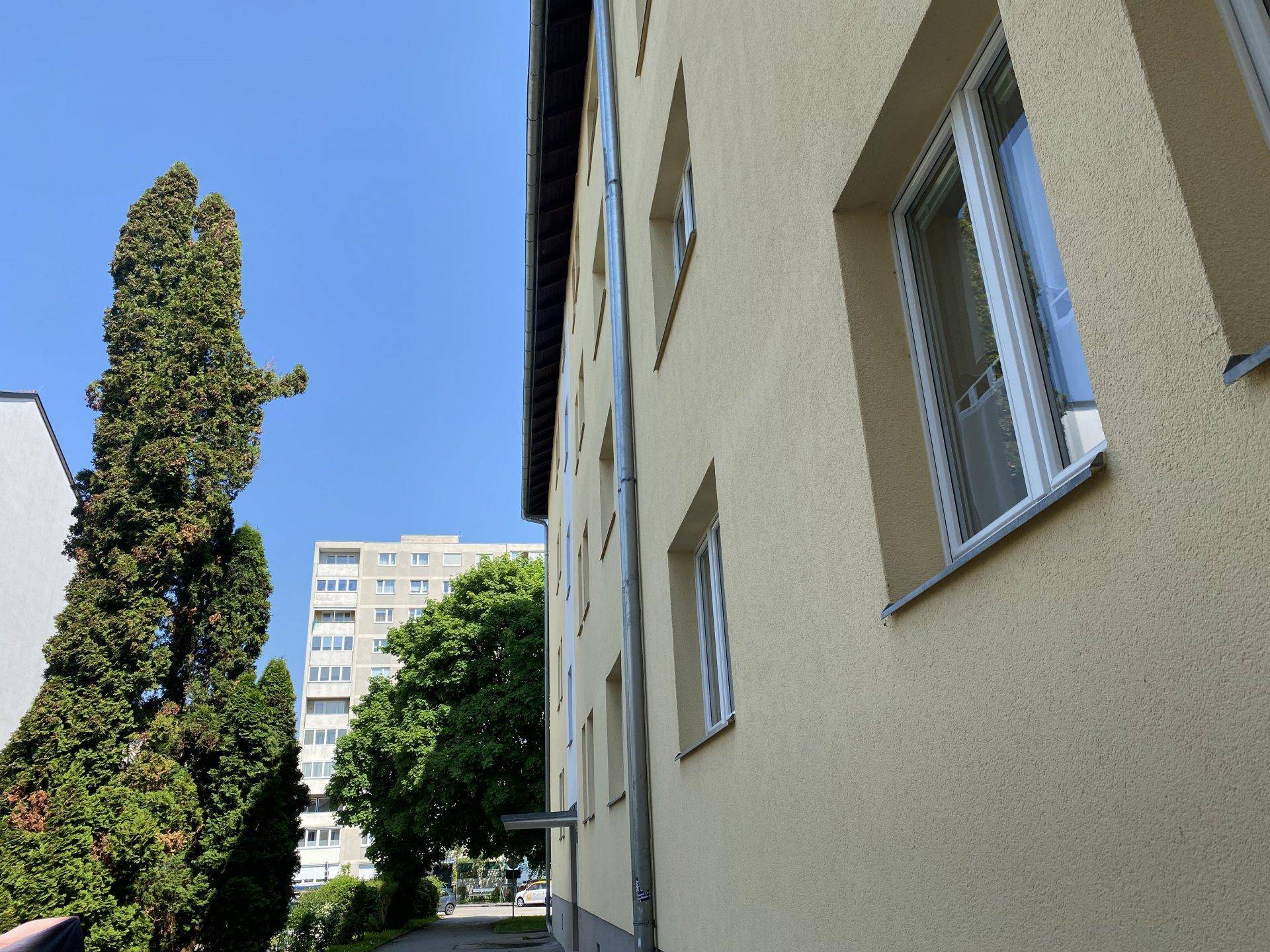 Fassade eines Wohngebäudes mit Fenstern und einem hohen Baum unter strahlend blauem Himmel.