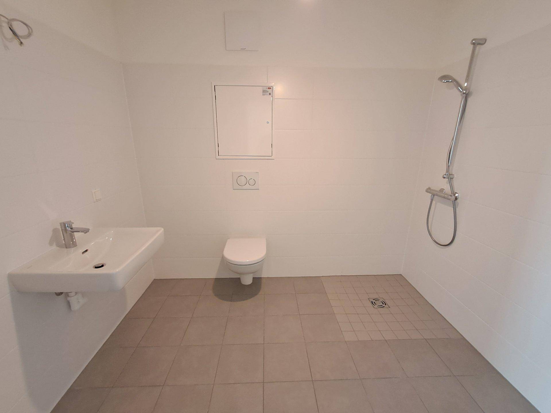 Unmöbliertes Badezimmer mit ebenerdiger Dusche, wandhängendem WC und einem Waschbecken.