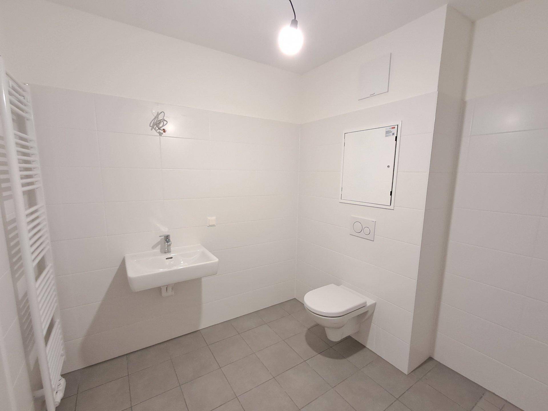 Funktionales Badezimmer mit Waschbecken, Wand-WC und praktischem Handtuchheizkörper.