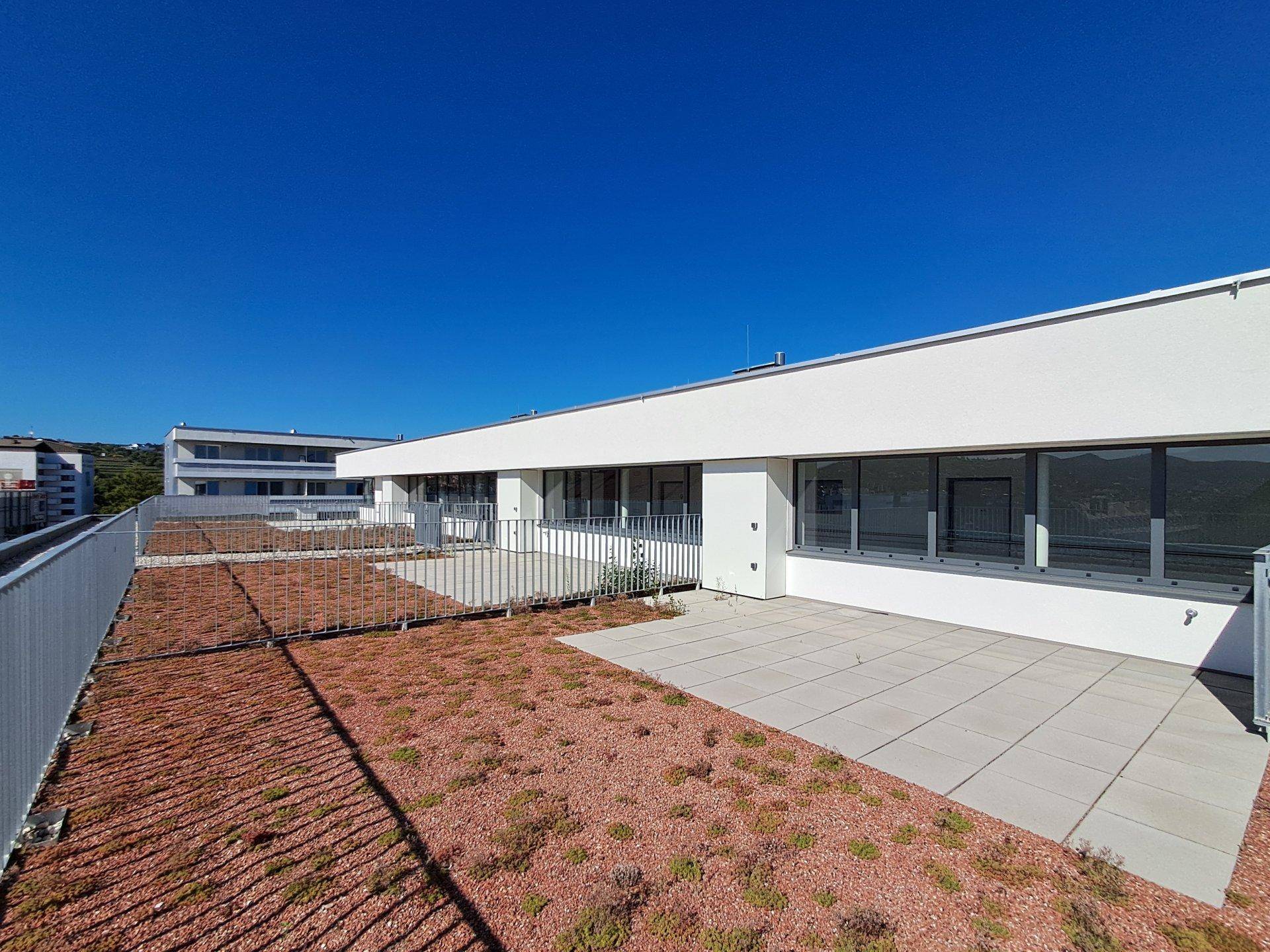 Geräumige Dachterrasse mit Fliesen und Begrünung, umgeben von einer modernen Architektur.