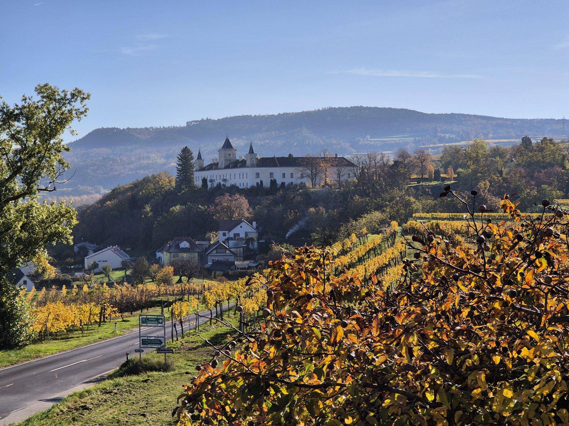 Malerische Herbstlandschaft mit Weinbergen, einer Straße und einem historischen Gebäude auf einem Hügel.