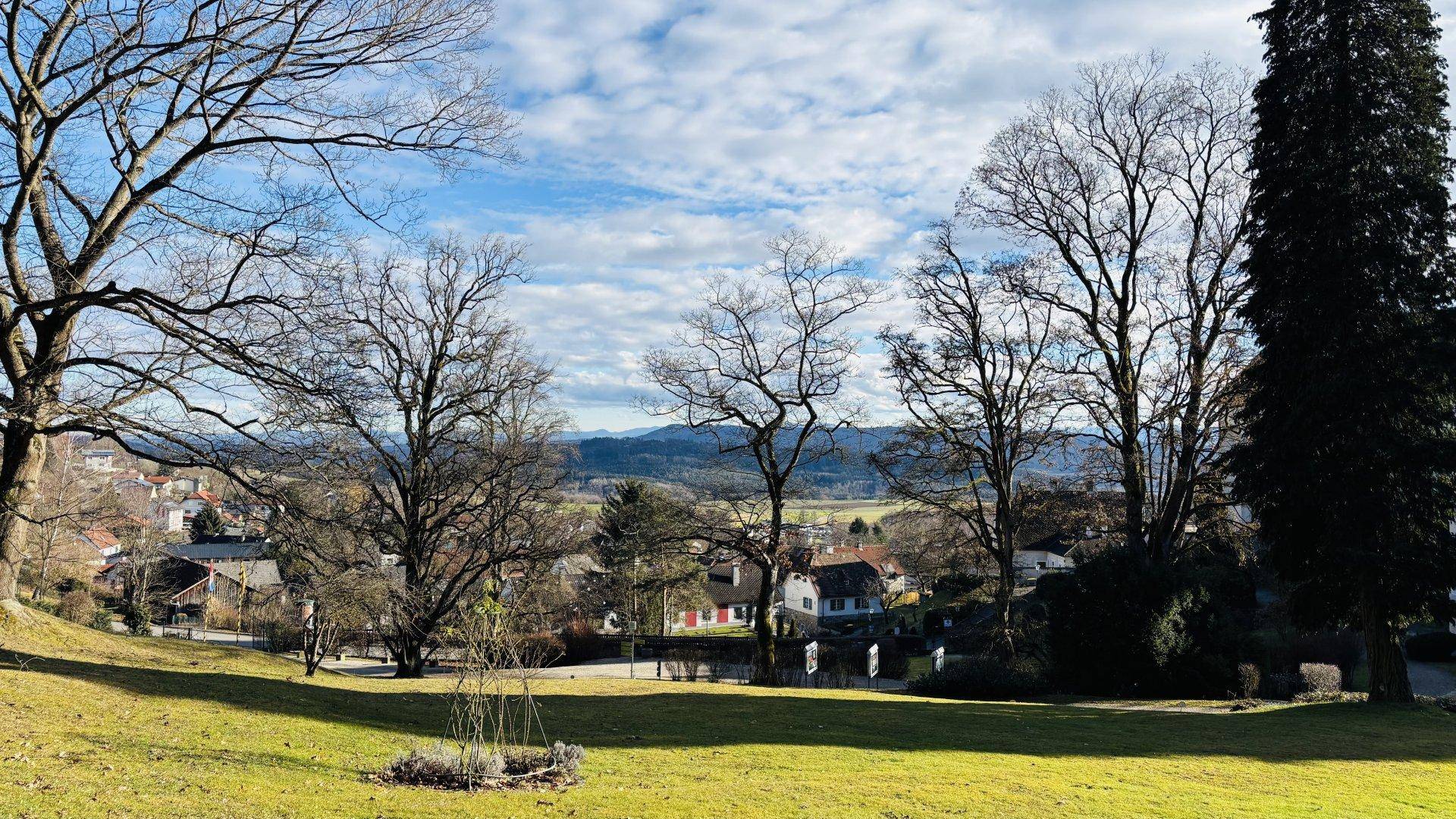 Grüne Wiese mit hohen Bäumen und Blick auf die umliegende Landschaft und Häuser.