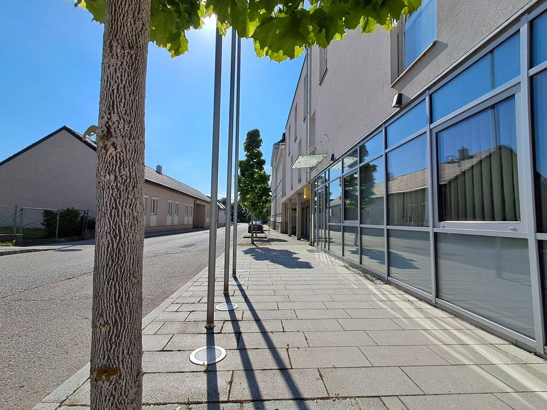 Sonniger Bürgersteig entlang eines Gebäudes mit Glasfassade und Schattenwurf von Bäumen.