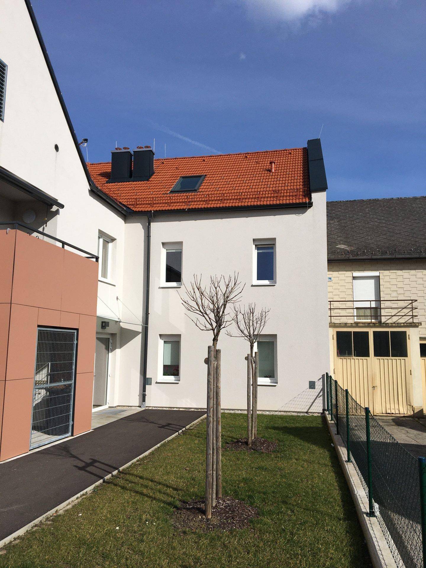 Seitenansicht des Gebäudes mit kleinem Rasenbereich und jungen Bäumen unter blauem Himmel.