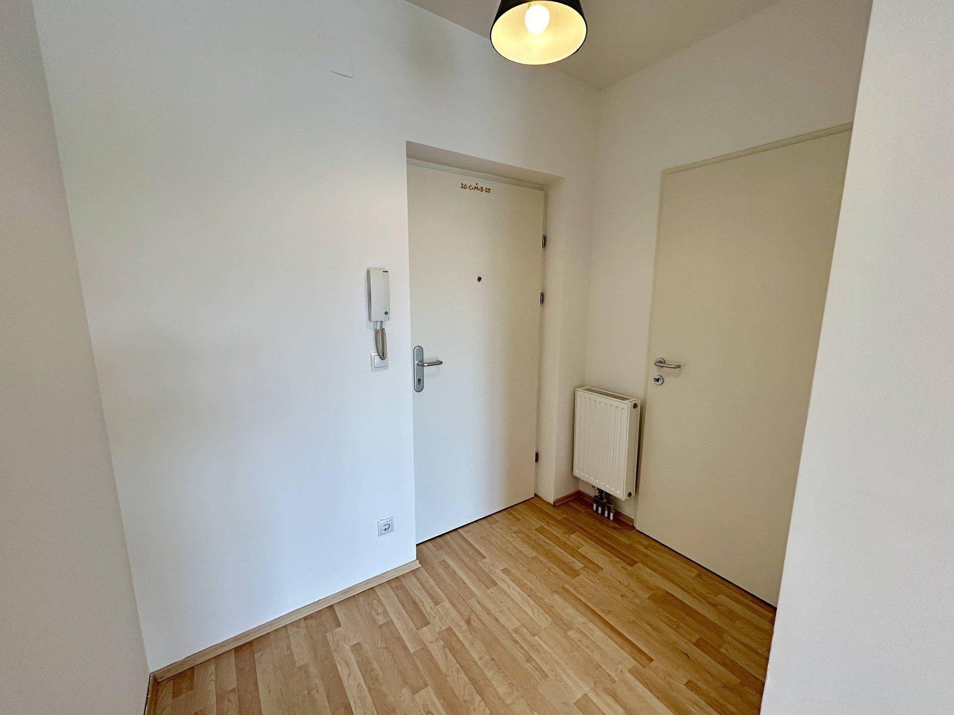 Eingangsbereich mit heller Tür, Heizkörper und Gegensprechanlage auf Laminatboden.