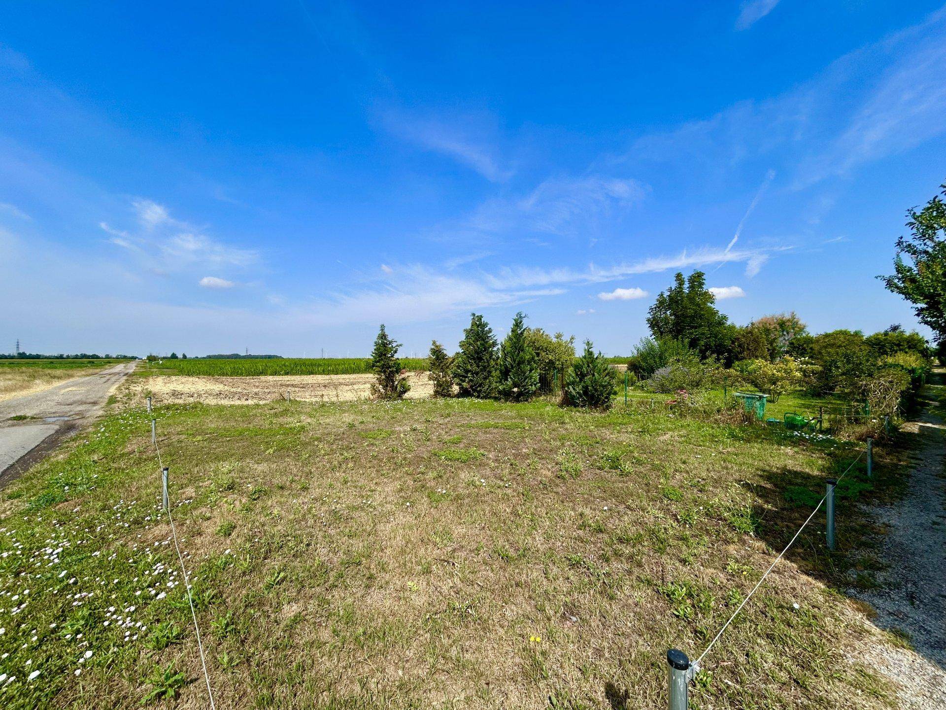 Offene Landschaft mit Feldern, einem Weg und Bäumen, die eine ruhige Umgebung bieten.