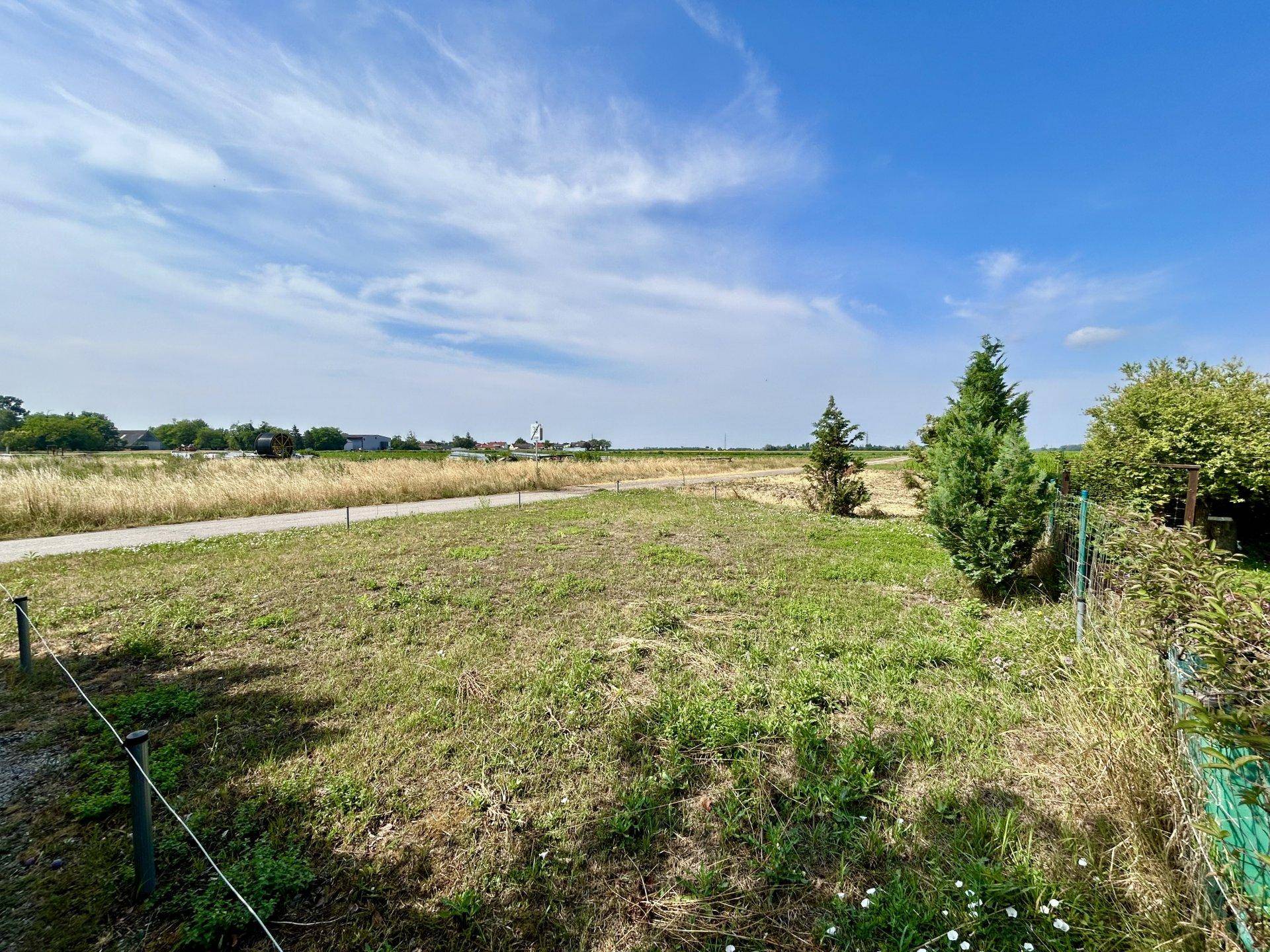 Weitläufige Landschaft mit Feldern, einem Weg und vereinzelten Bäumen unter blauem Himmel.