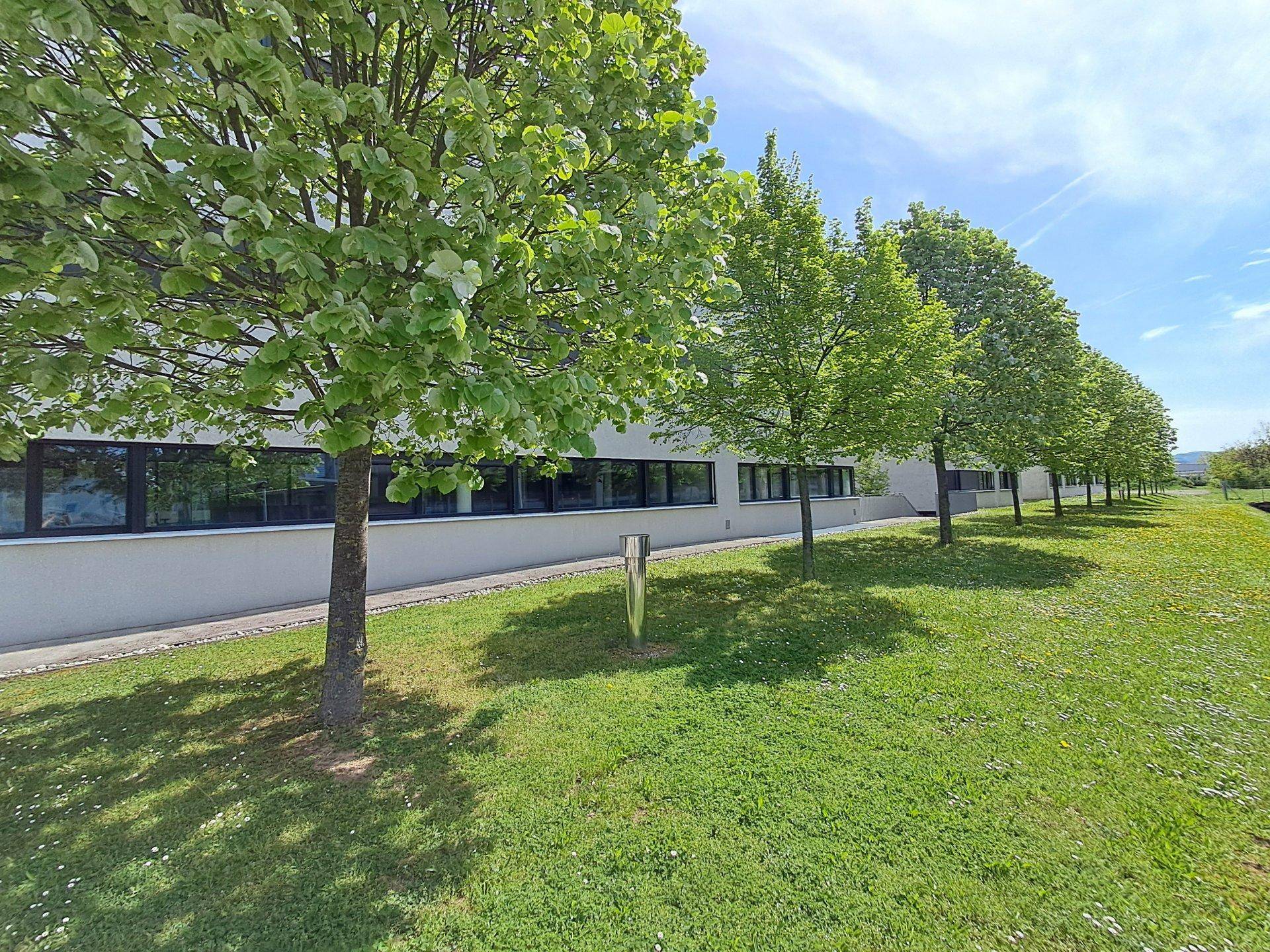 Grünfläche mit Bäumen vor der modernen Fassade eines Wohngebäudes unter blauem Himmel.