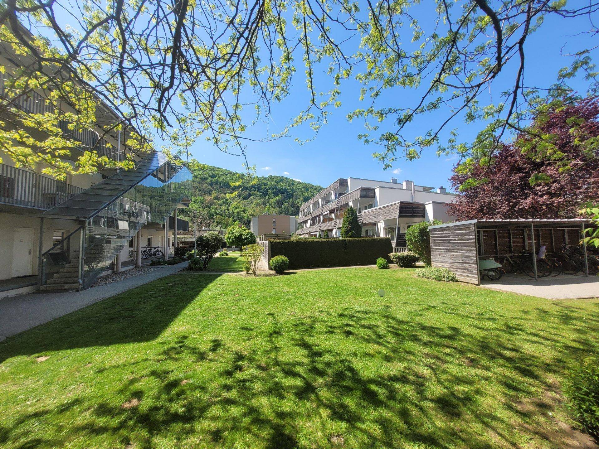 Sonnenverwöhnter Gemeinschaftsgarten mit Rasenfläche, Bäumen und modernen Wohngebäuden im Hintergrund.