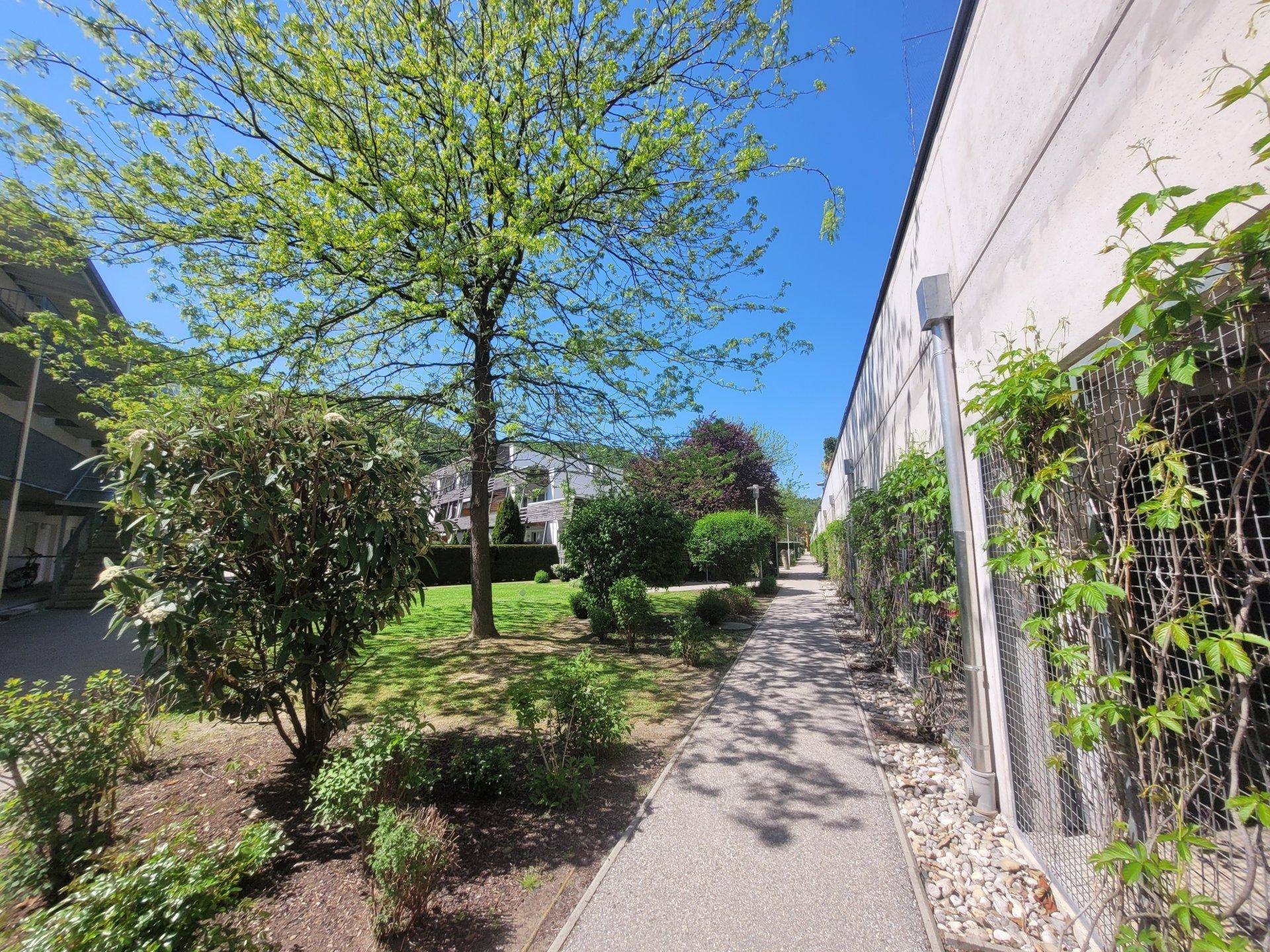 Fußweg mit Kies und Begrünung entlang einer Gebäudewand, mit Blick auf den Gemeinschaftsgarten.