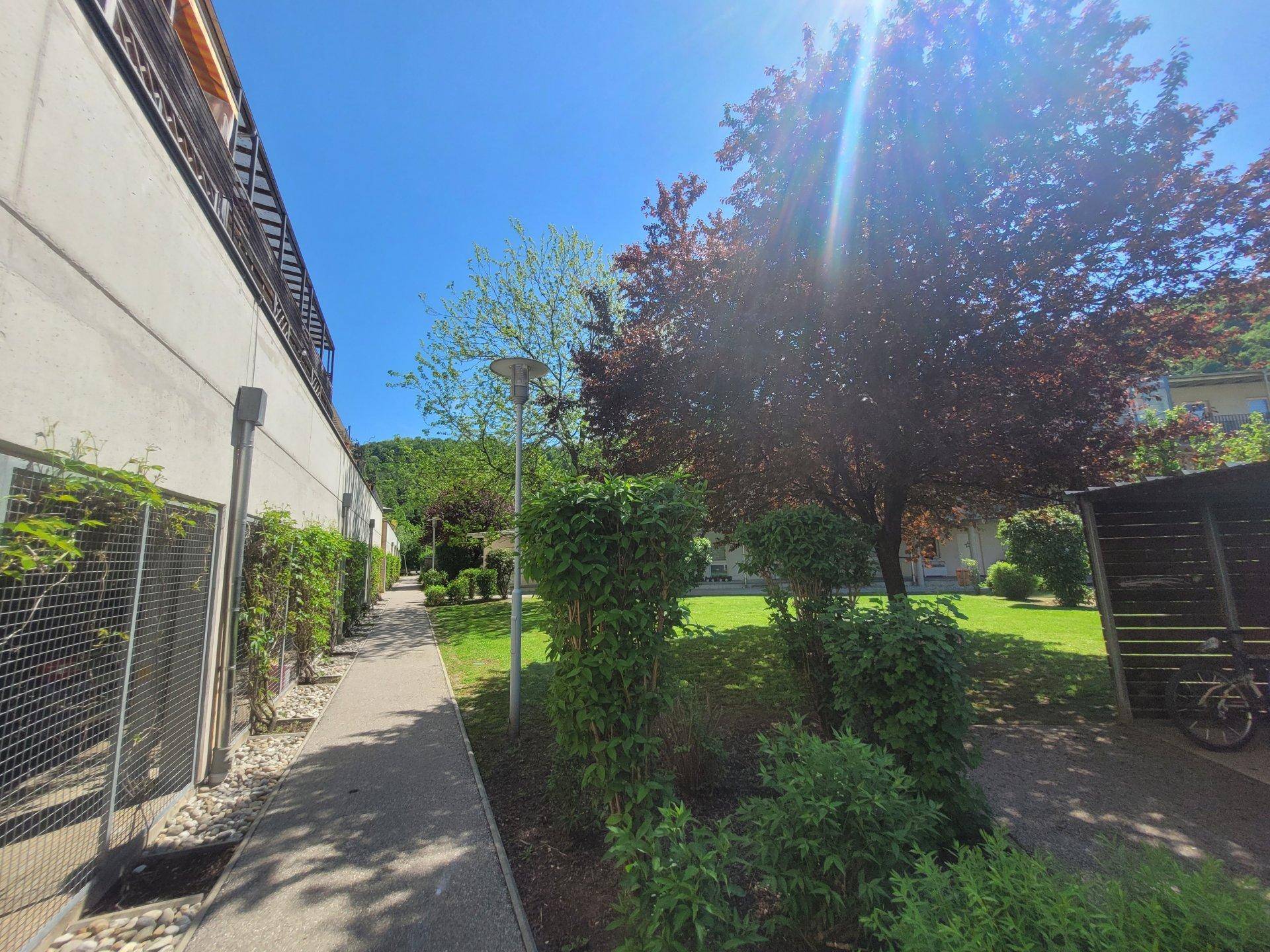 Sonnenverwöhnter Weg durch einen gepflegten Gemeinschaftsgarten mit Bäumen und Sträuchern.