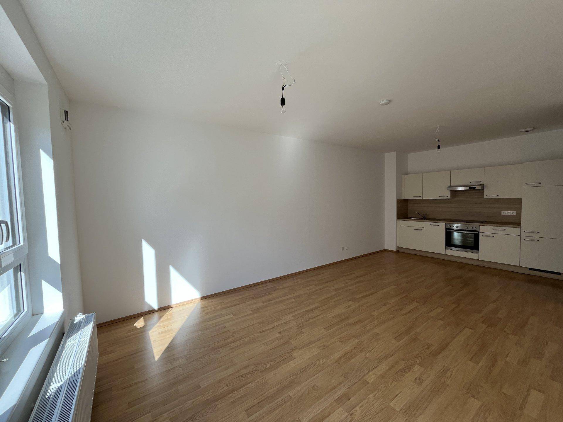 Offener Wohnbereich mit integrierter Küchenzeile, Holzparkettboden und viel natürlichem Licht.