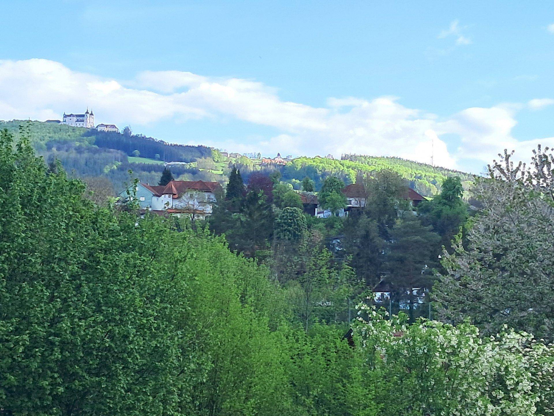 8051386096aa203140f4c98.40541020