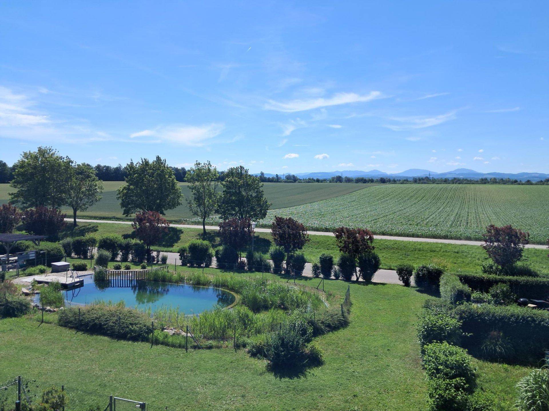 Weitläufige Grünfläche mit Teich, umgeben von Feldern und Bergen unter strahlend blauem Himmel.