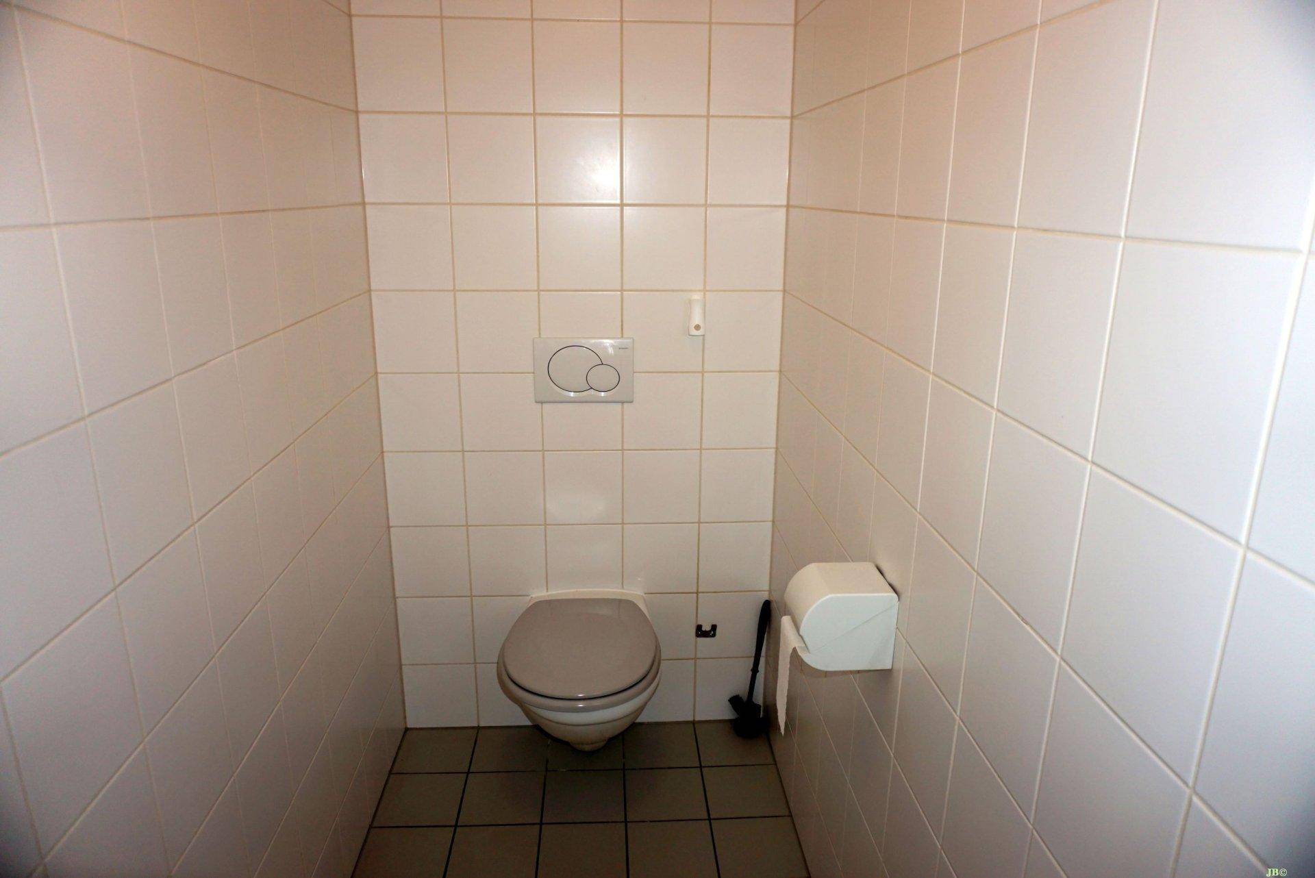Separates WC mit weißen Fliesen und wandmontierter Toilette.