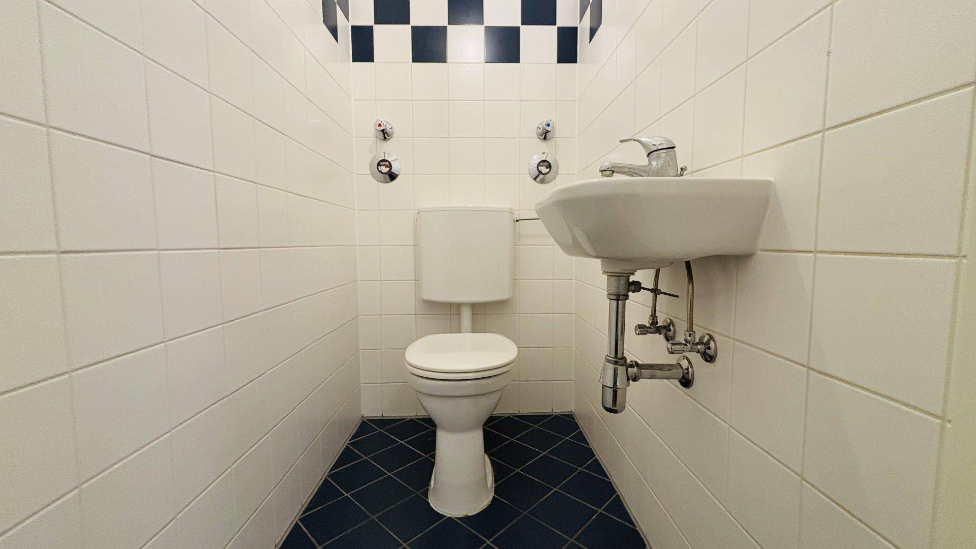 Separates WC mit Toilette und Waschbecken, ausgestattet mit weißen und blauen Fliesen.