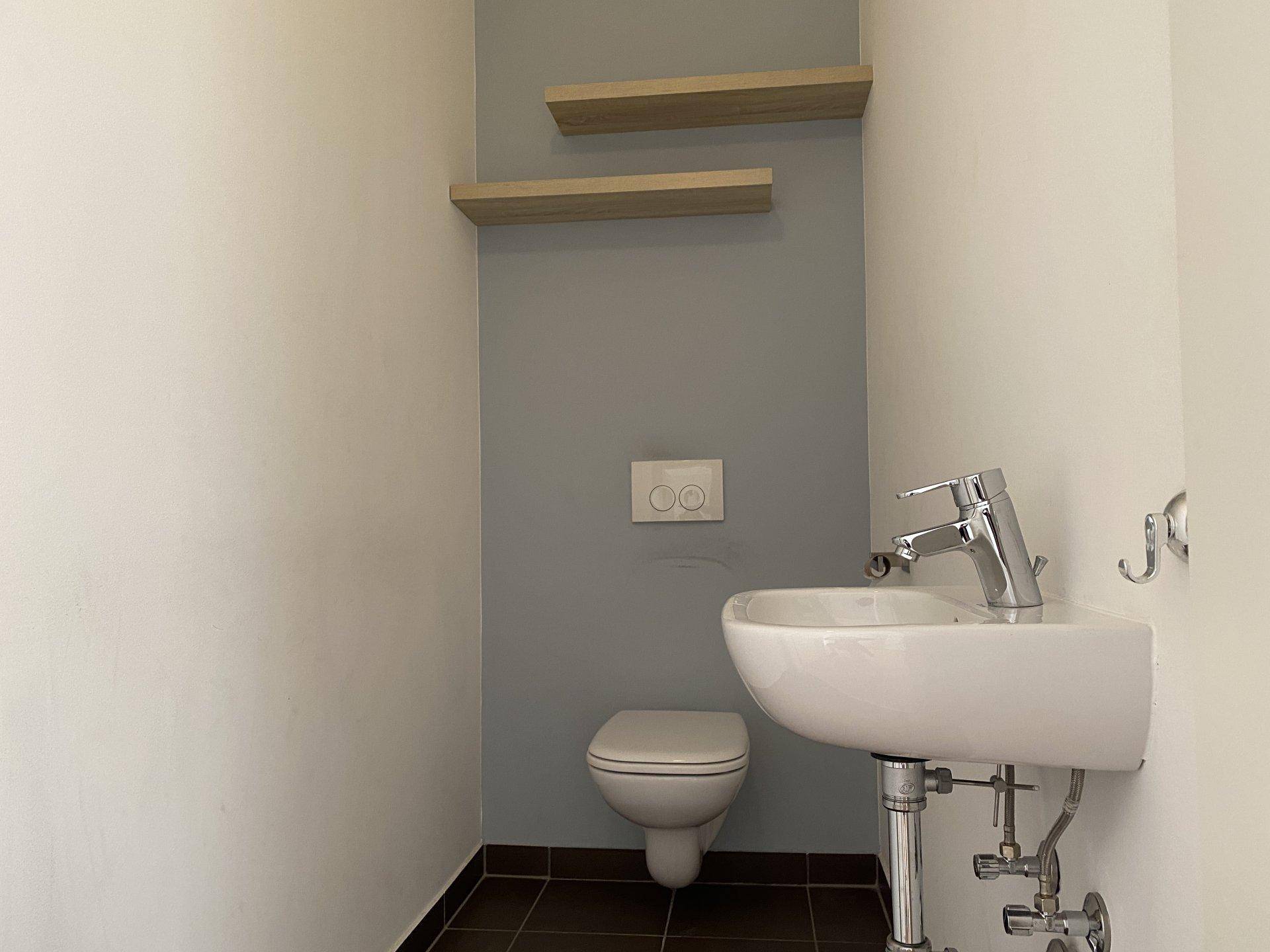 Modernes Gäste-WC mit wandhängender Toilette, Waschbecken und dekorativen Wandregalen.