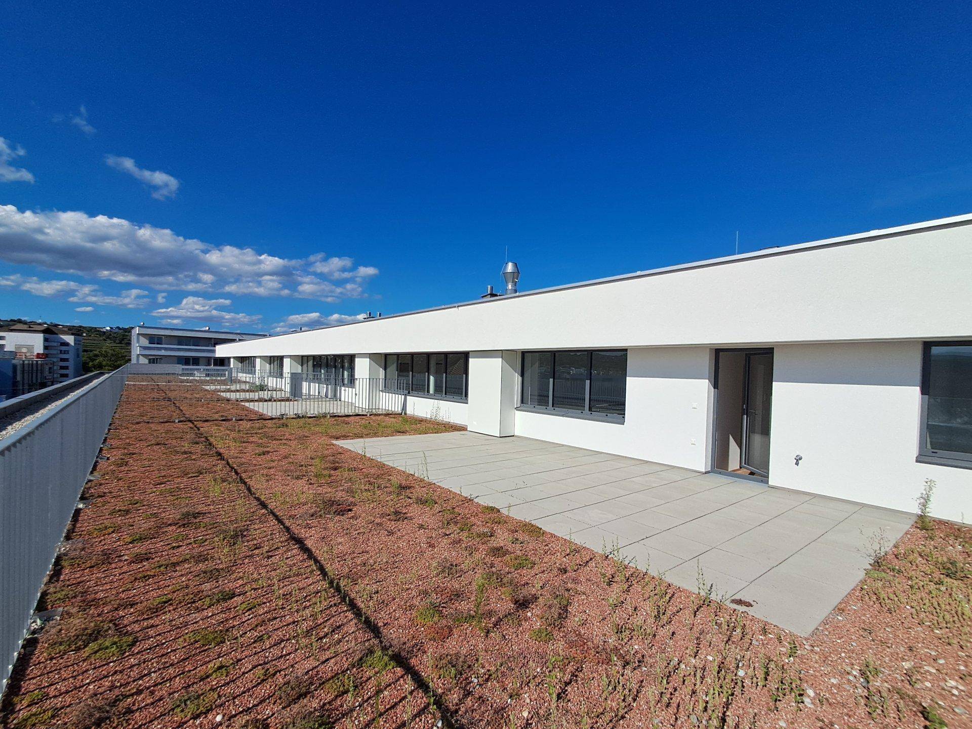Weitläufige Dachterrasse mit Fliesen und extensiver Begrünung, ideal für Entspannung im Freien.