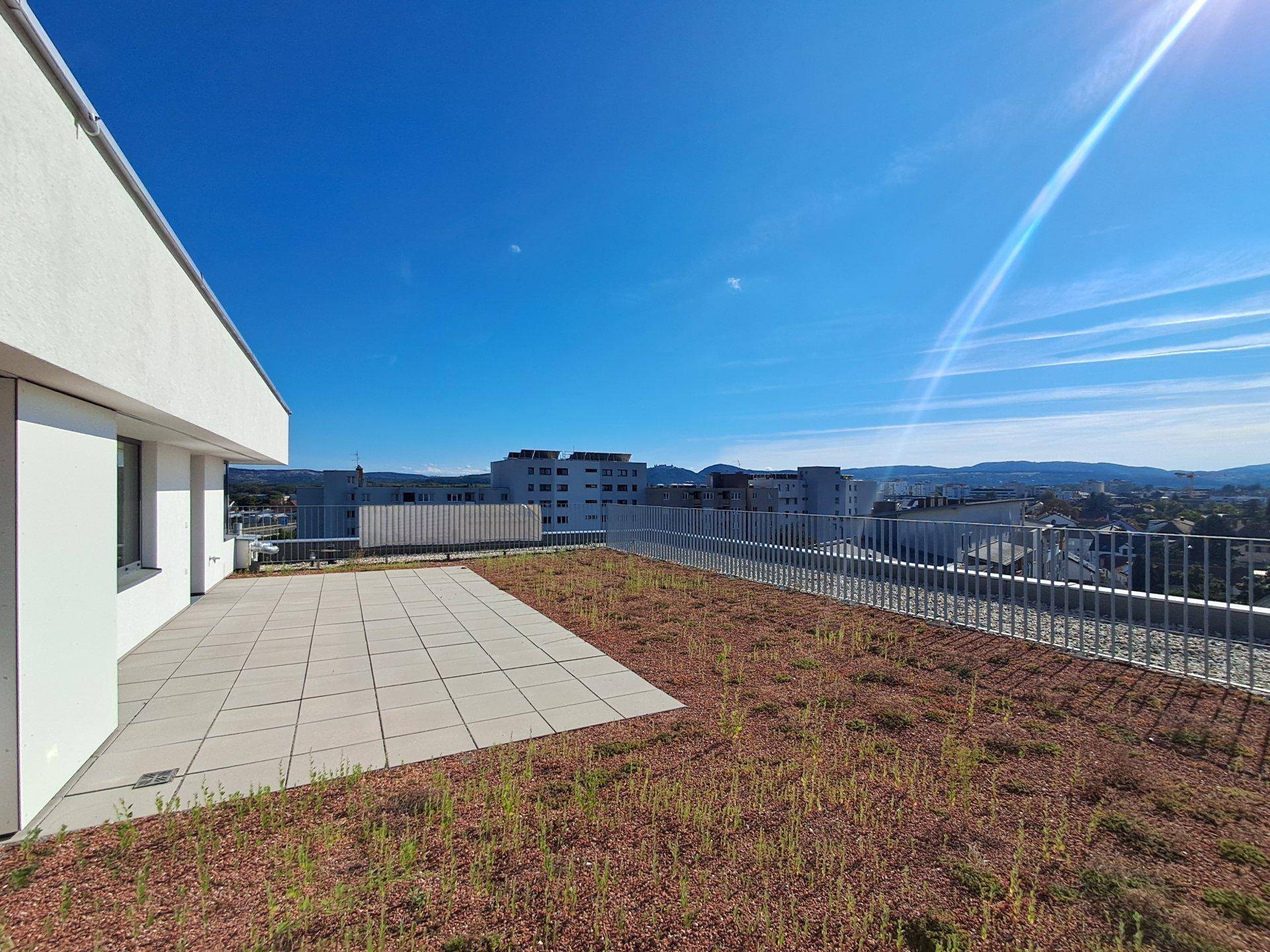 Große Dachterrasse mit Fliesenbereich und extensiver Begrünung unter blauem Himmel.