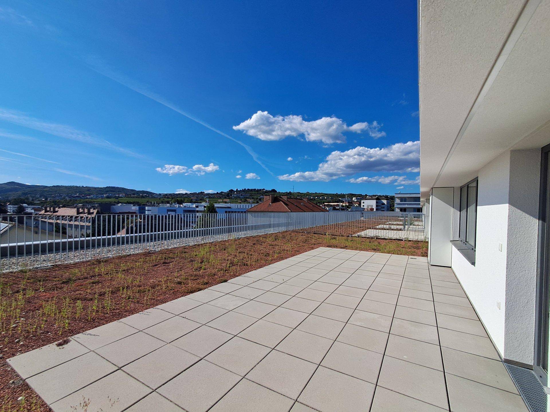 Sonniger Dachterrassenbereich mit Fliesen und extensiver Begrünung, umgeben von einer Brüstung.