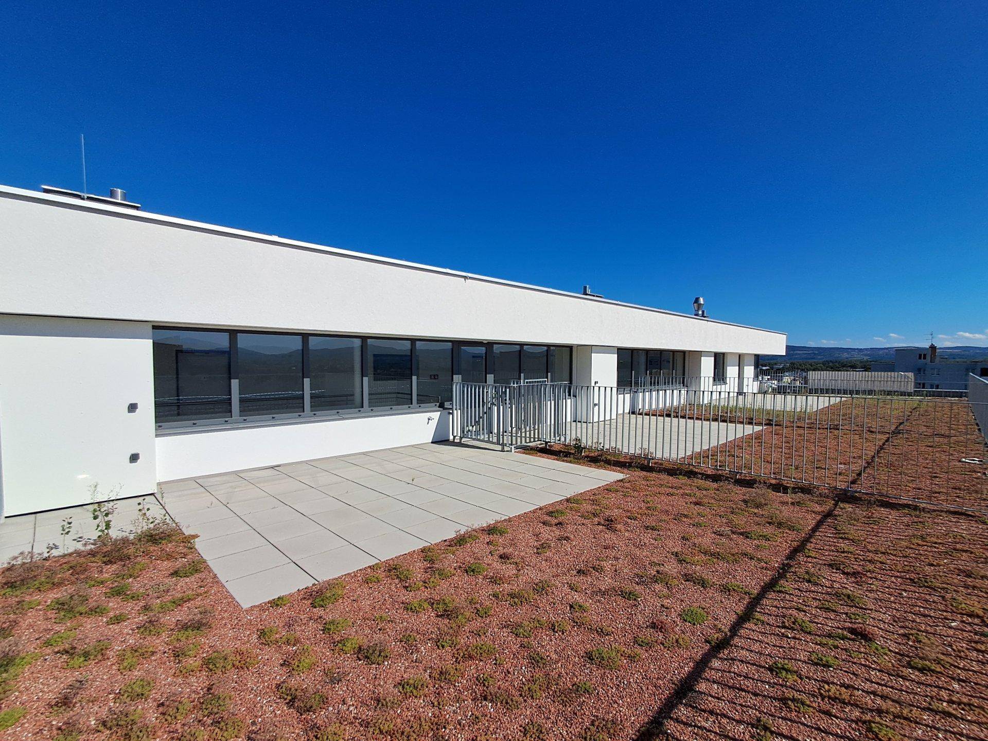 Weitläufige Dachterrasse mit Fliesen und extensiver Begrünung unter strahlend blauem Himmel.