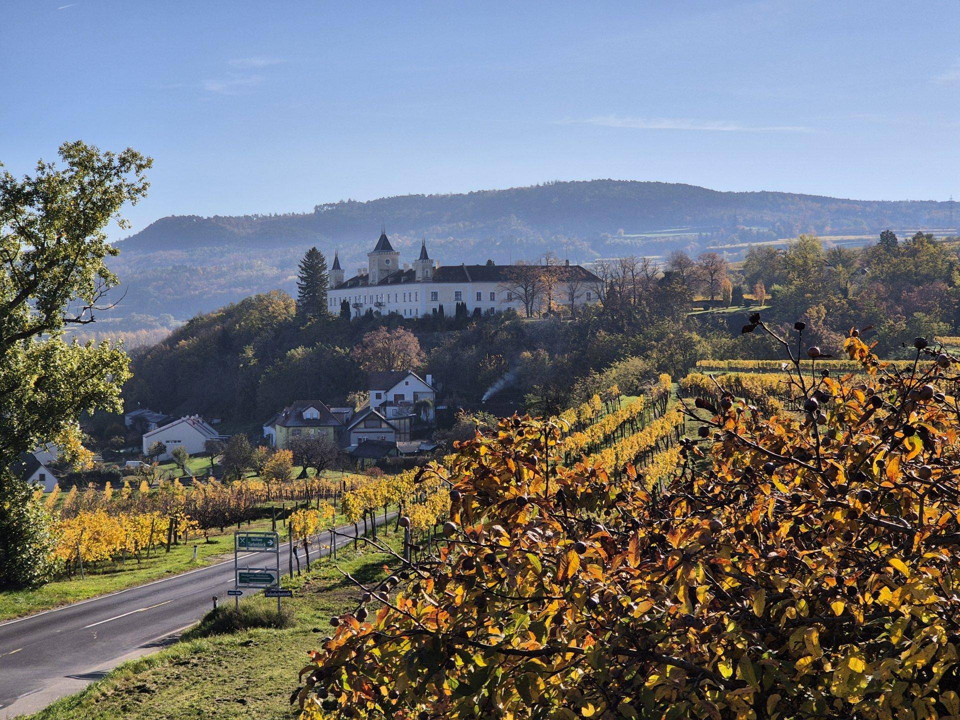 Malerische Landschaft mit einem Schloss auf einem Hügel und herbstlichen Weinbergen im Vordergrund.