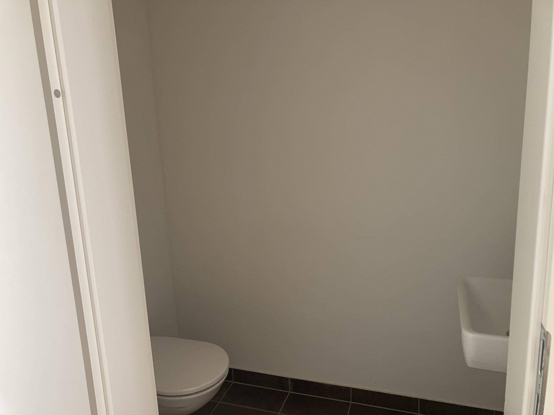 Separates WC mit Toilette und kleinem Handwaschbecken.