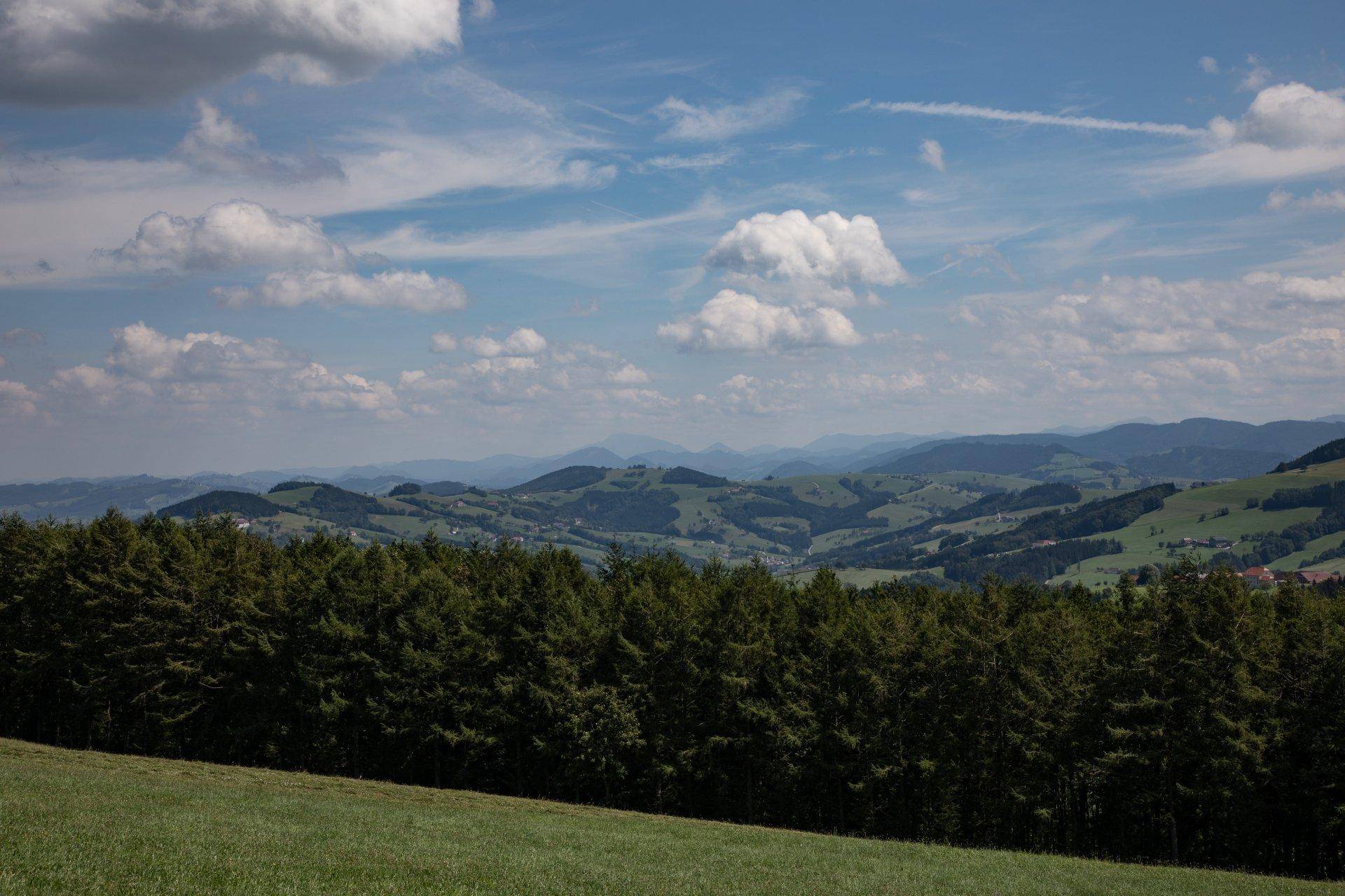 Weite grüne Hügellandschaft mit Wäldern und einem klaren blauen Himmel mit weißen Wolken.