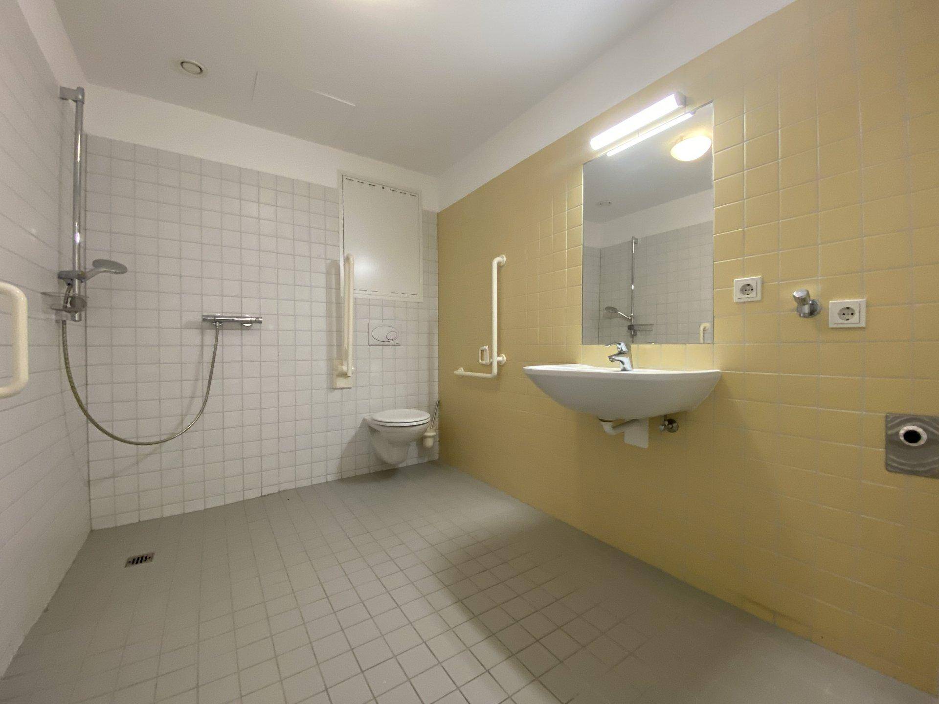 Funktionales Badezimmer mit ebenerdiger Dusche, WC und Waschbecken, ausgestattet mit Haltegriffen.