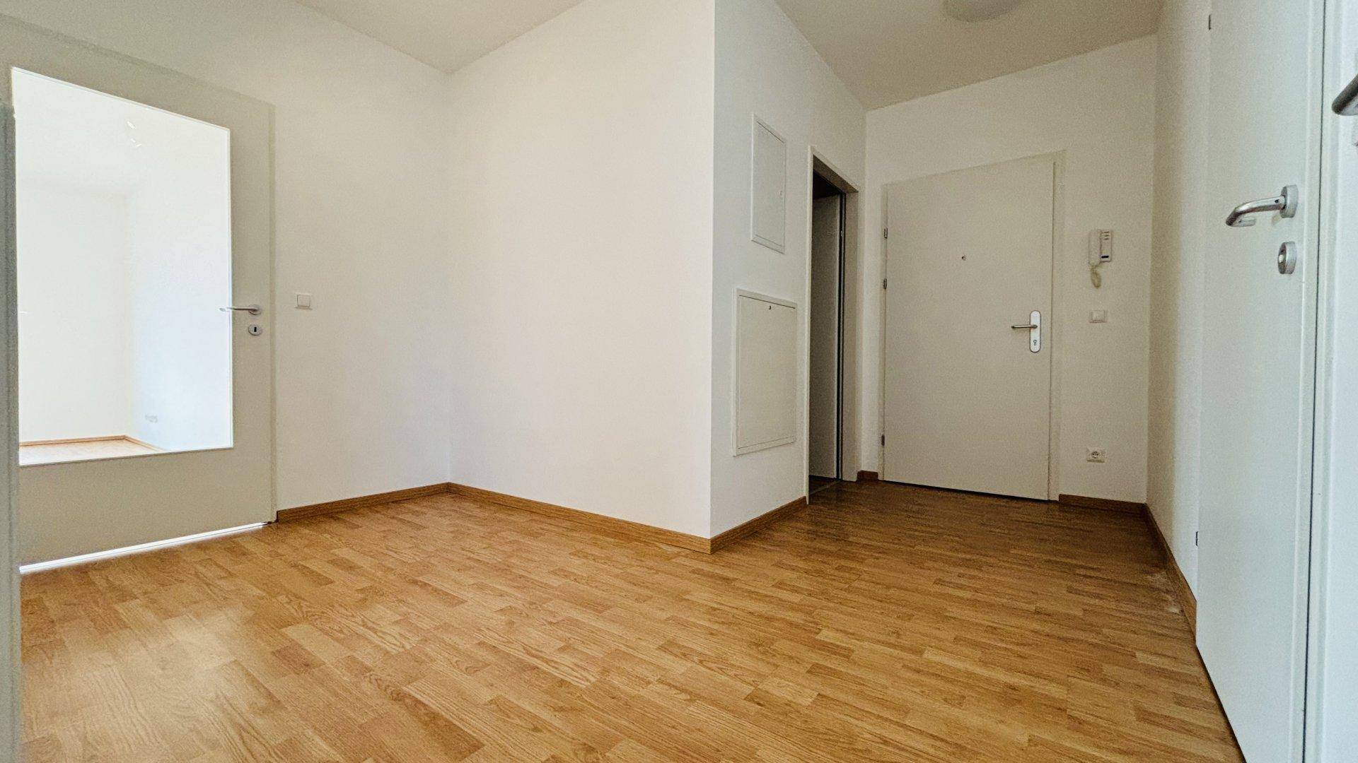 Eingangsbereich mit Laminatboden, weiß gestrichenen Wänden und Wohnungstür.