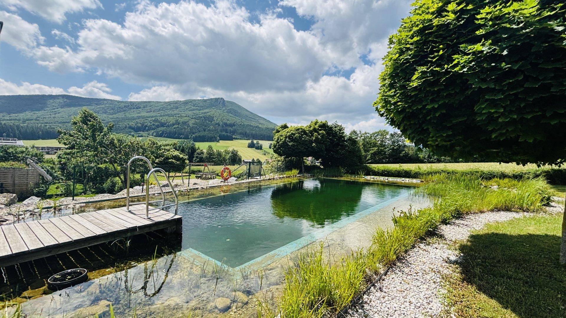 Naturpool mit Holzsteg und Leiter, umgeben von Grünflächen und Bergblick.