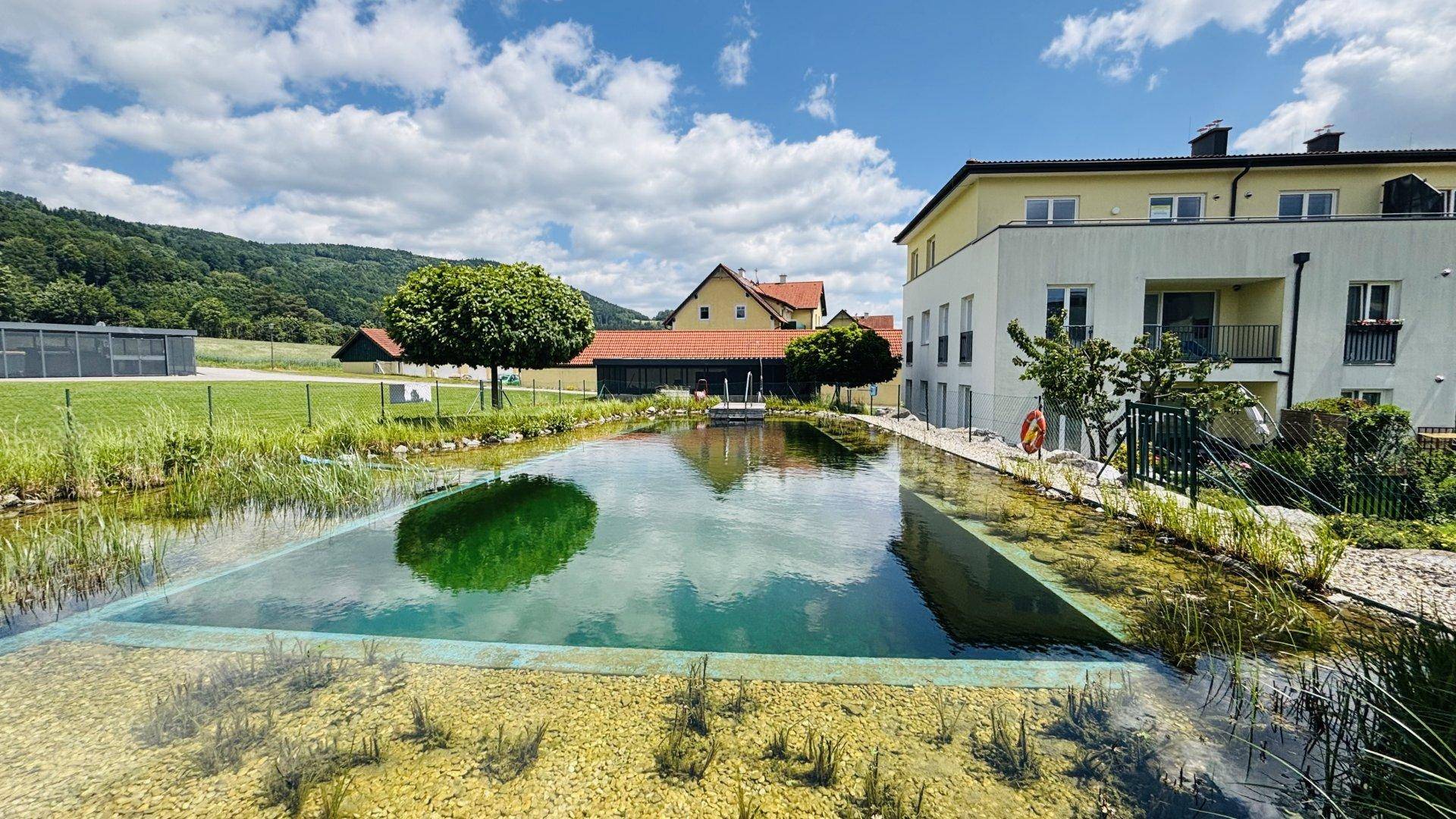 Großzügiger Naturpool mit klarem Wasser und Blick auf das moderne Wohngebäude.