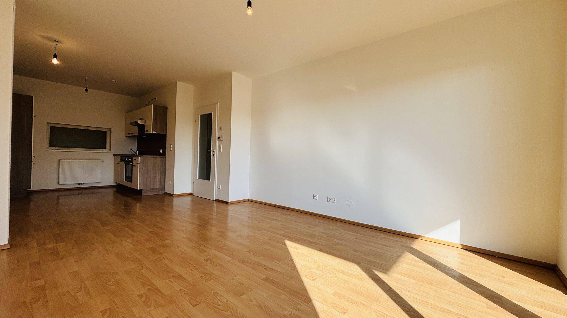 Offener Wohnbereich mit Laminatboden und Blick auf eine kleine Küchenzeile im Hintergrund.