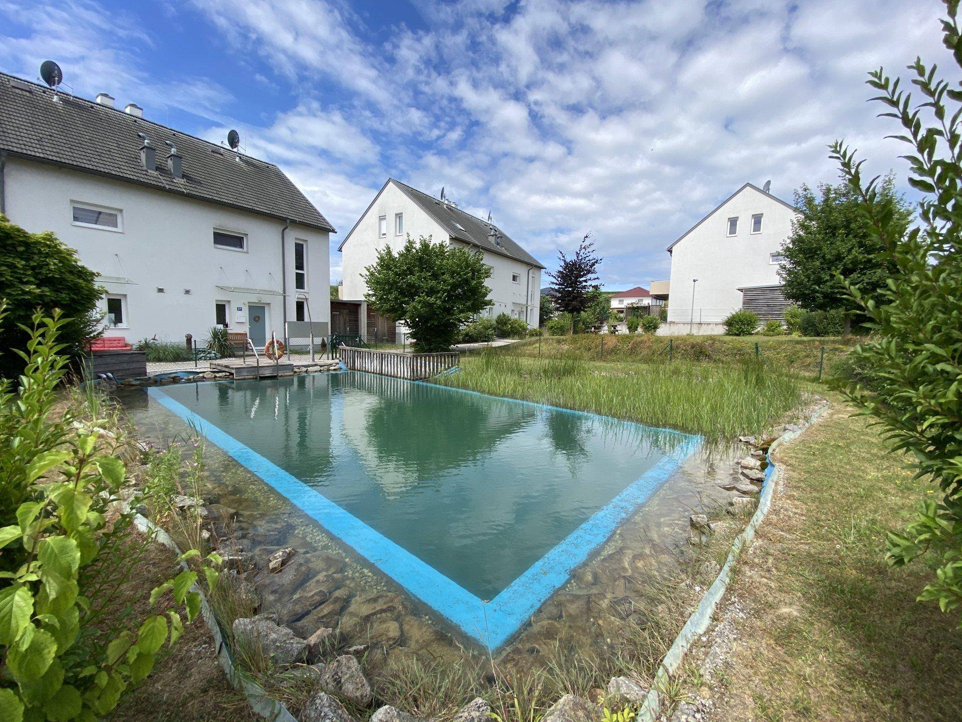 Großer natürlicher Schwimmteich mit blauer Umrandung, umgeben von gepflegten Grünflächen und Wohnhäusern.