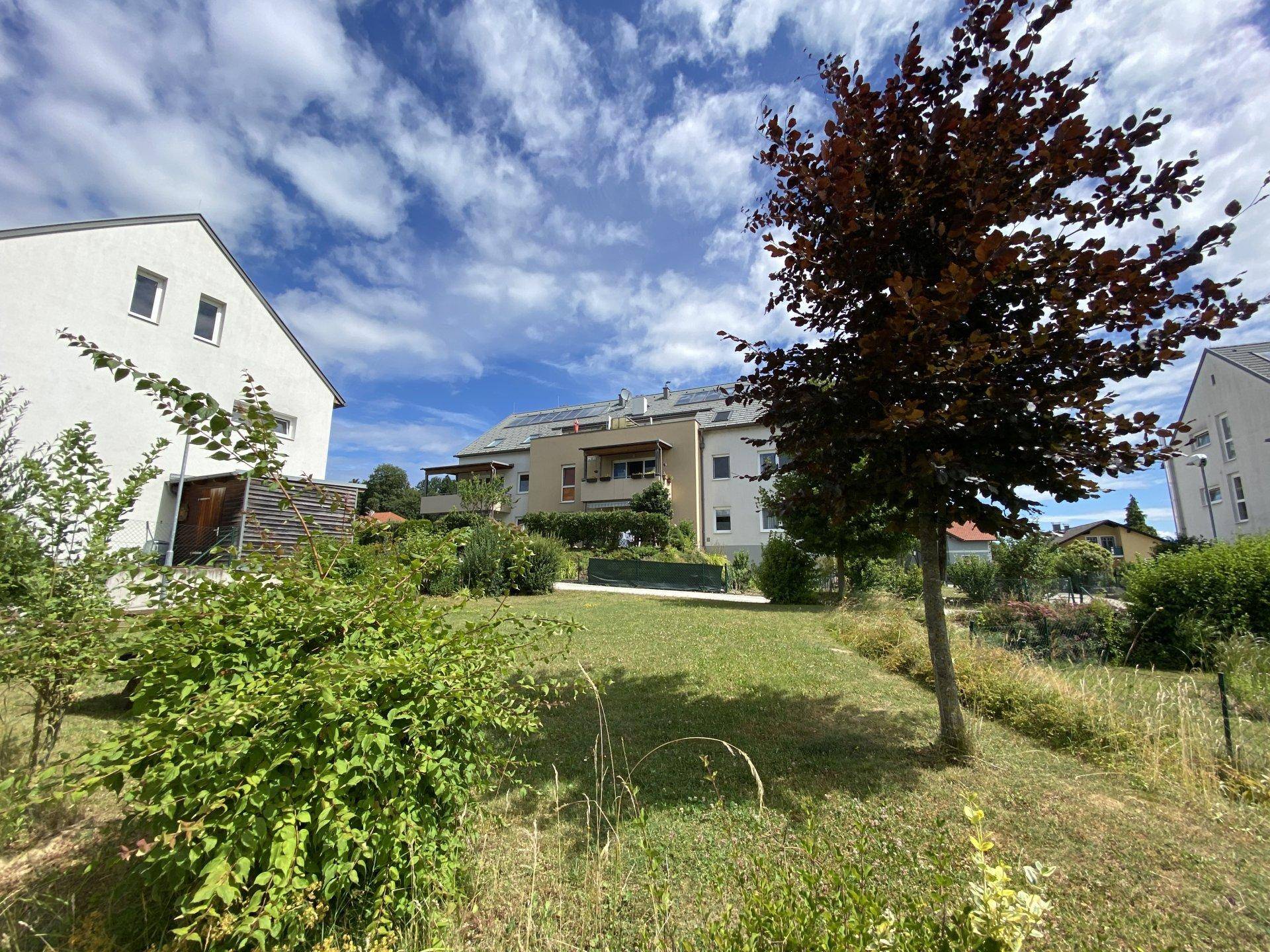 Sonniger Gartenbereich mit Bäumen und Sträuchern, im Hintergrund moderne Wohngebäude unter blauem Himmel.