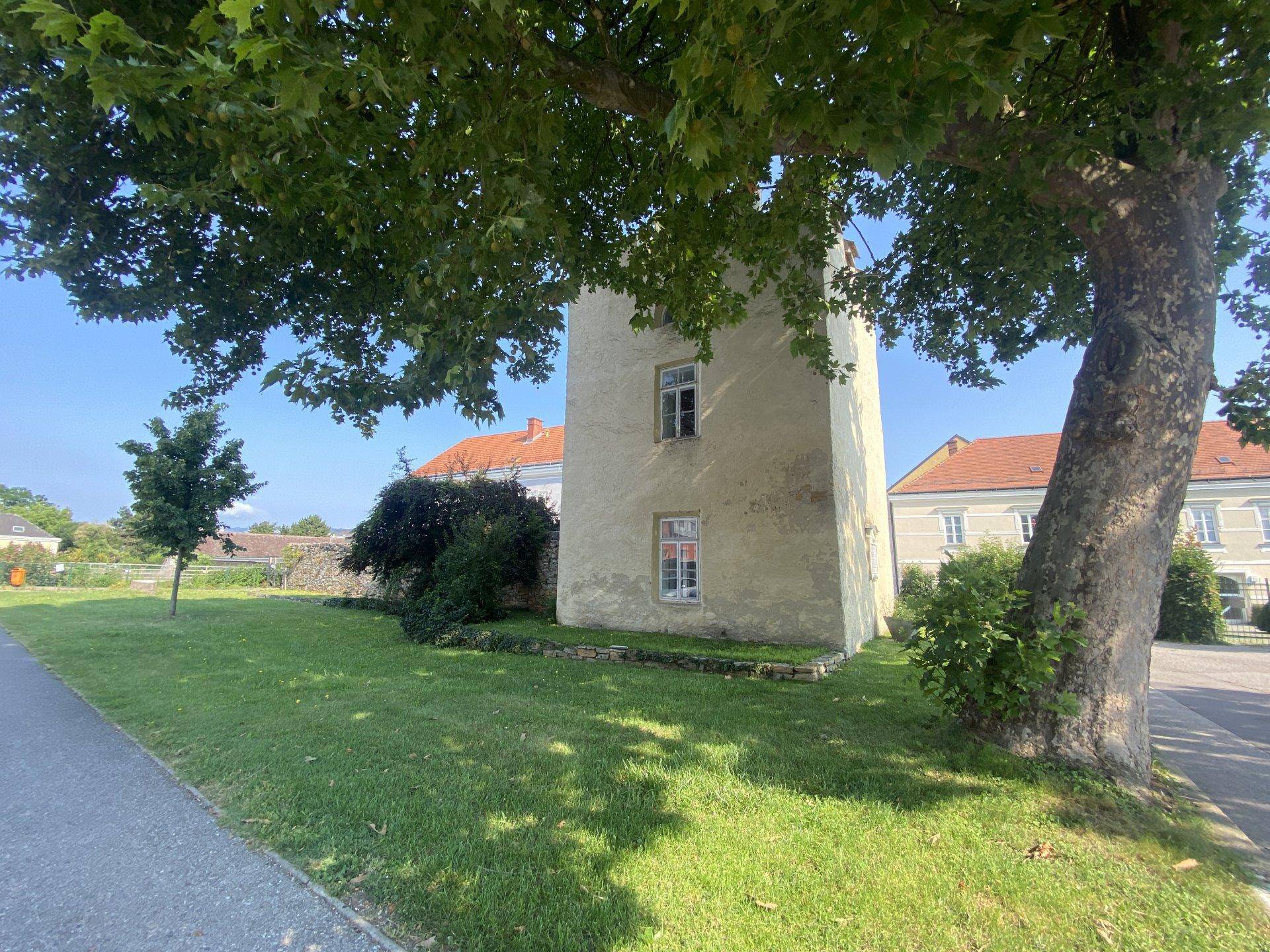 Historischer Turm umgeben von Grünflächen und einem großen, alten Baum.