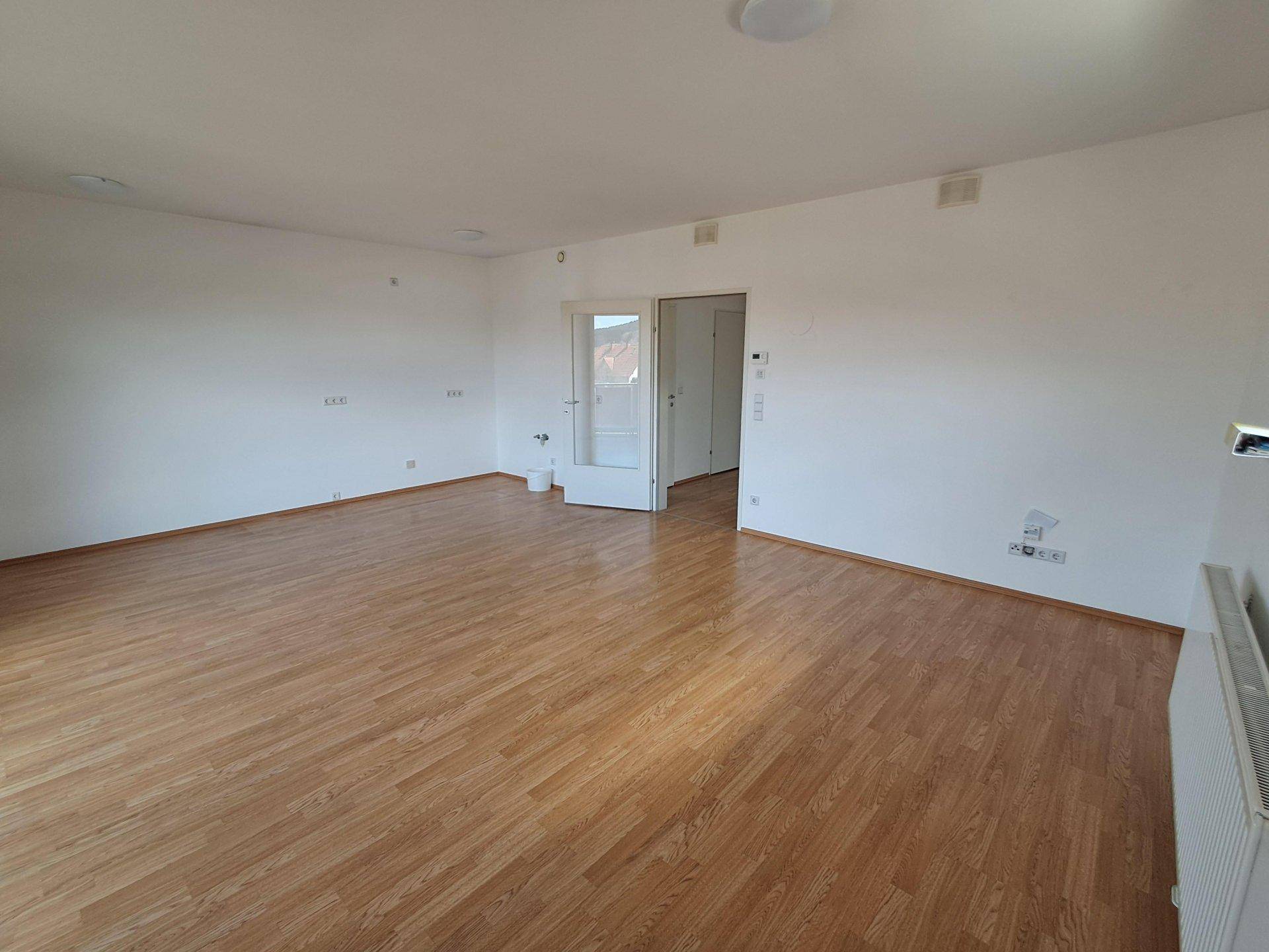 Großer, heller Raum mit Holzboden und weißen Wänden, ideal für vielfältige Einrichtungsmöglichkeiten.