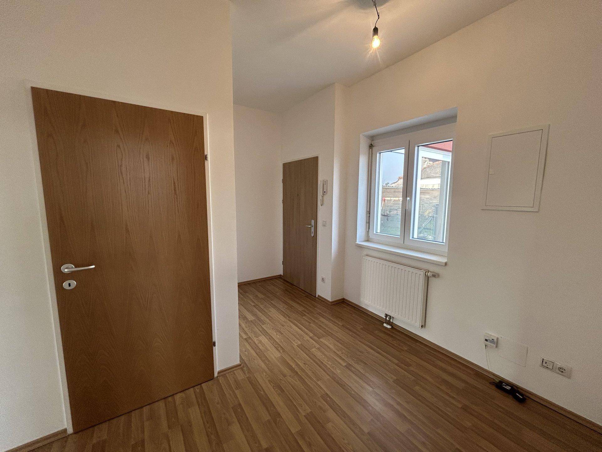 Eingangsbereich mit Holztüren, Laminatboden und einem Fenster.