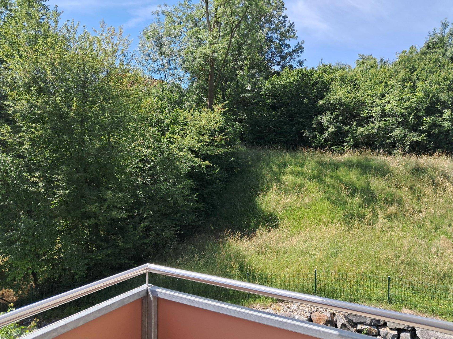 Weitläufiger Blick ins Grüne von einem Balkon mit Metallgeländer.