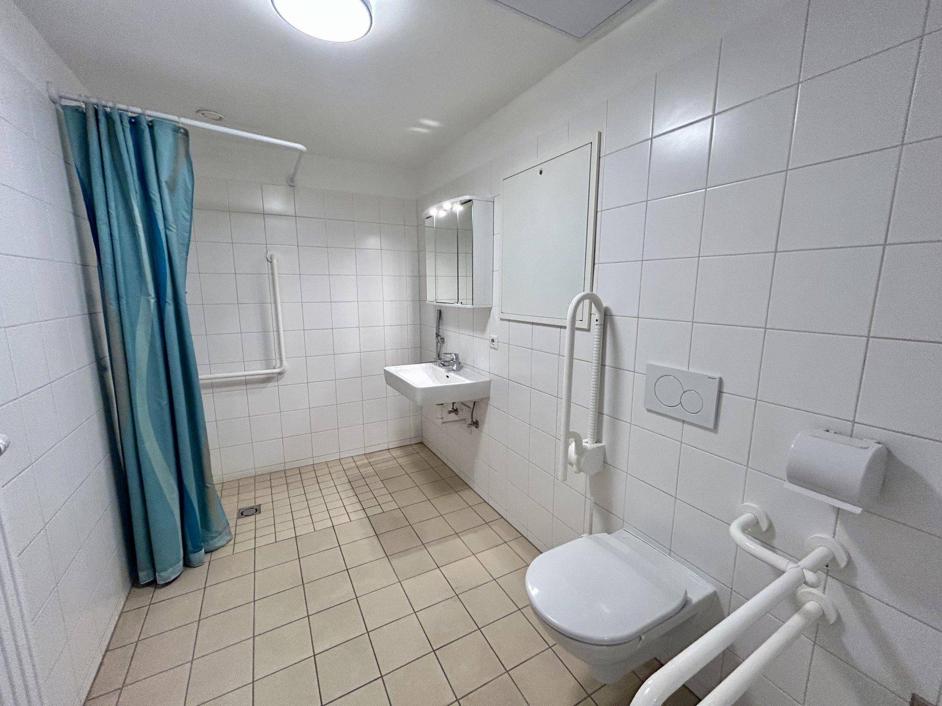 Barrierefreies Badezimmer mit Dusche, WC, Waschbecken und Haltegriffen.